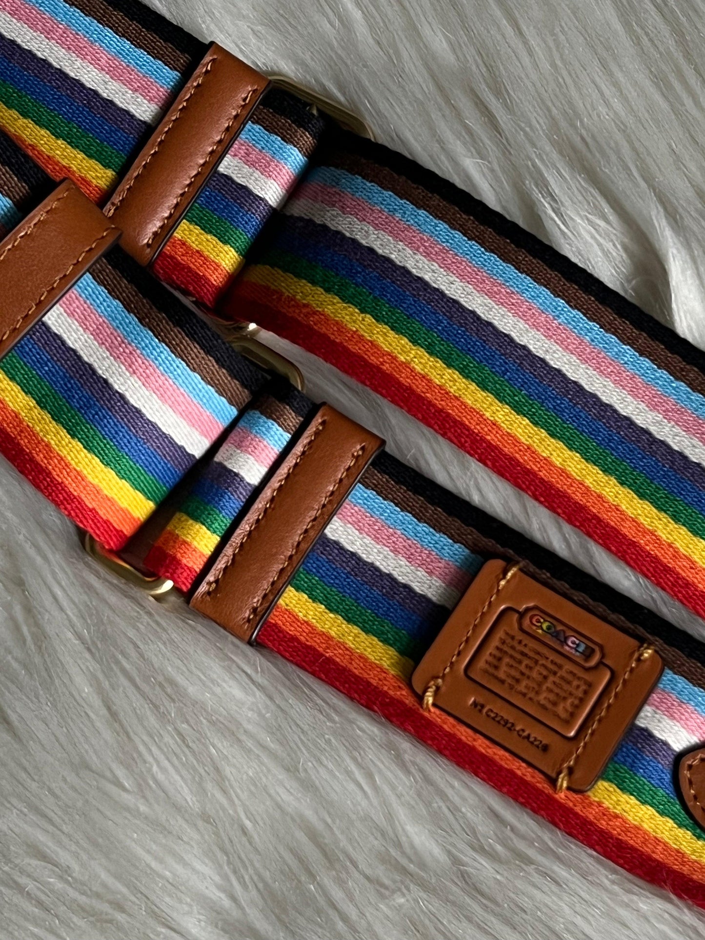 Coach Rainbow Webbing Strap
