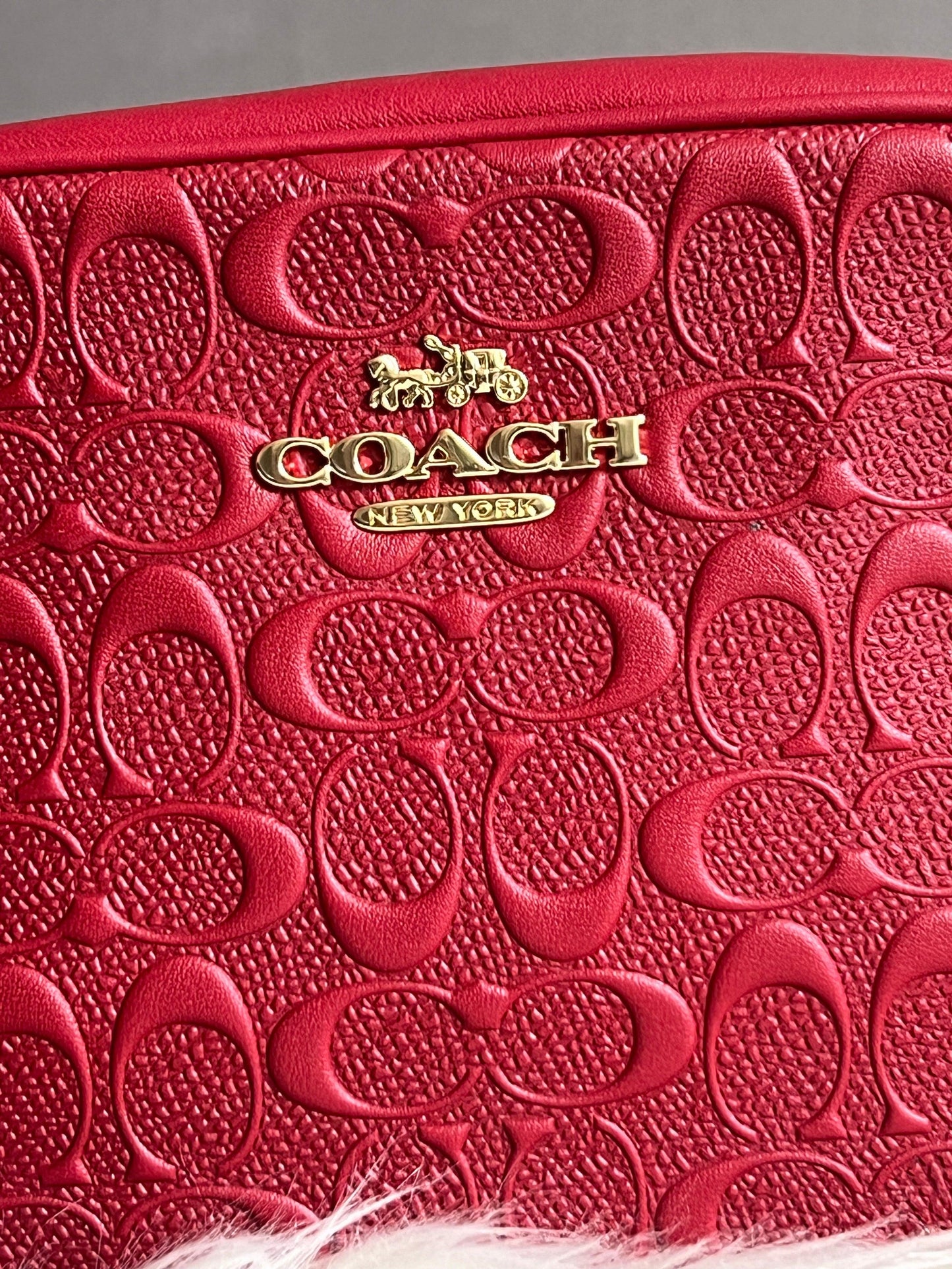 Coach Mini Jamie Camera Bag in Signature Leather