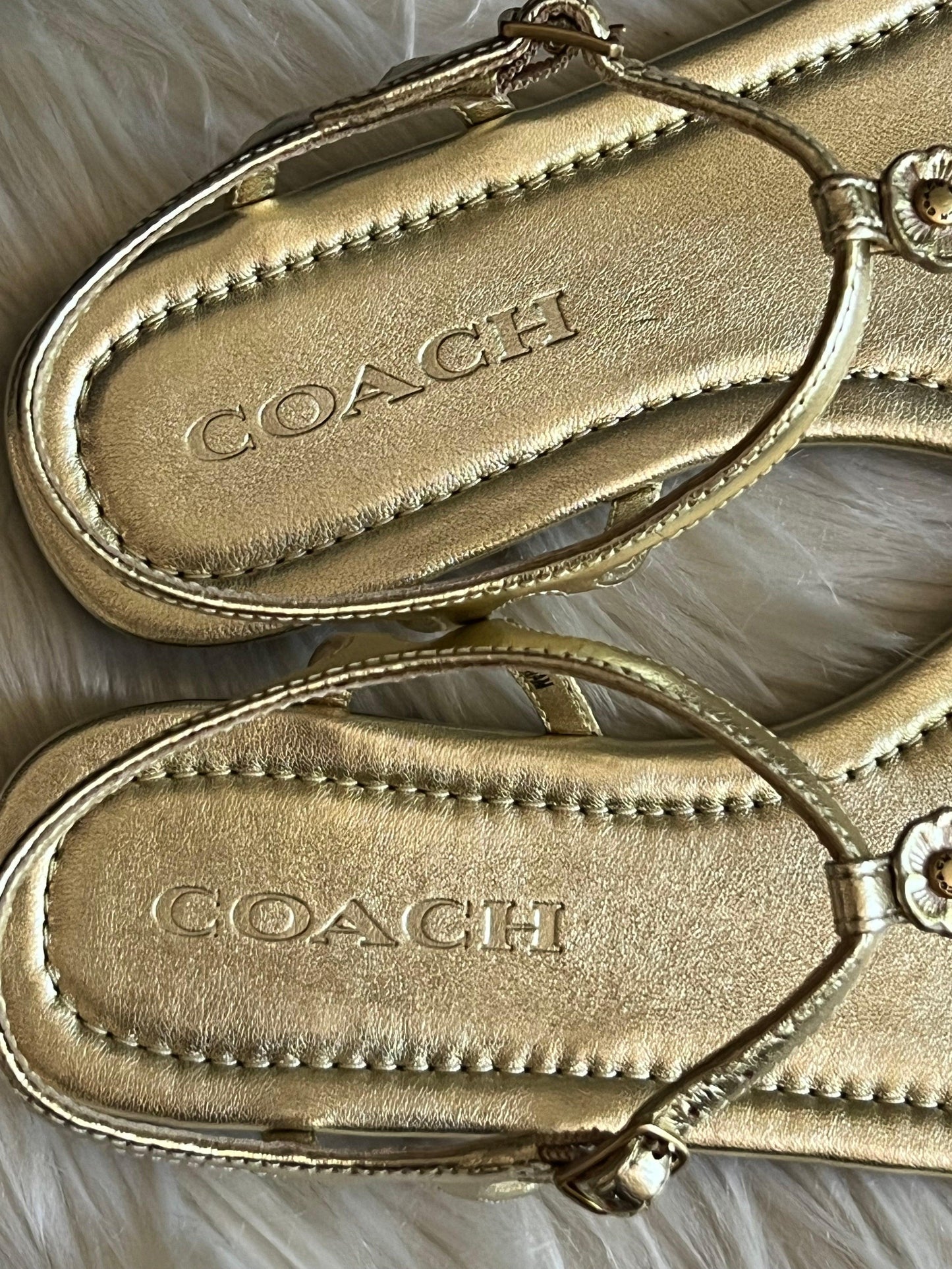 Coach Jacqueline Sandal
