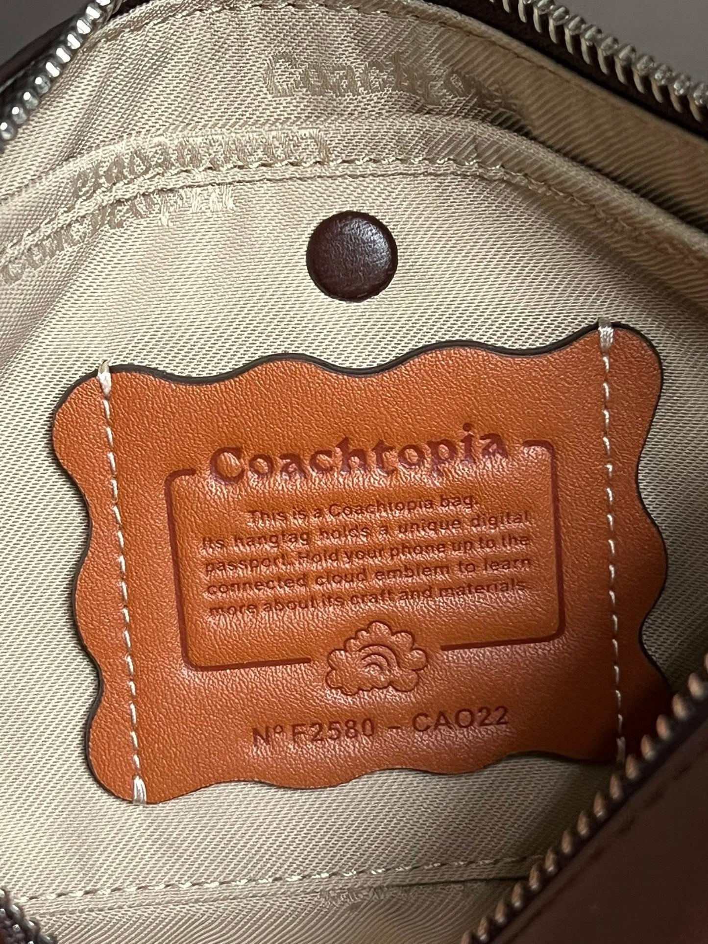 Coachtopia Alter/Ego Small Slouchy Shoulder Bag in Checkerboard Upcrafted Leather