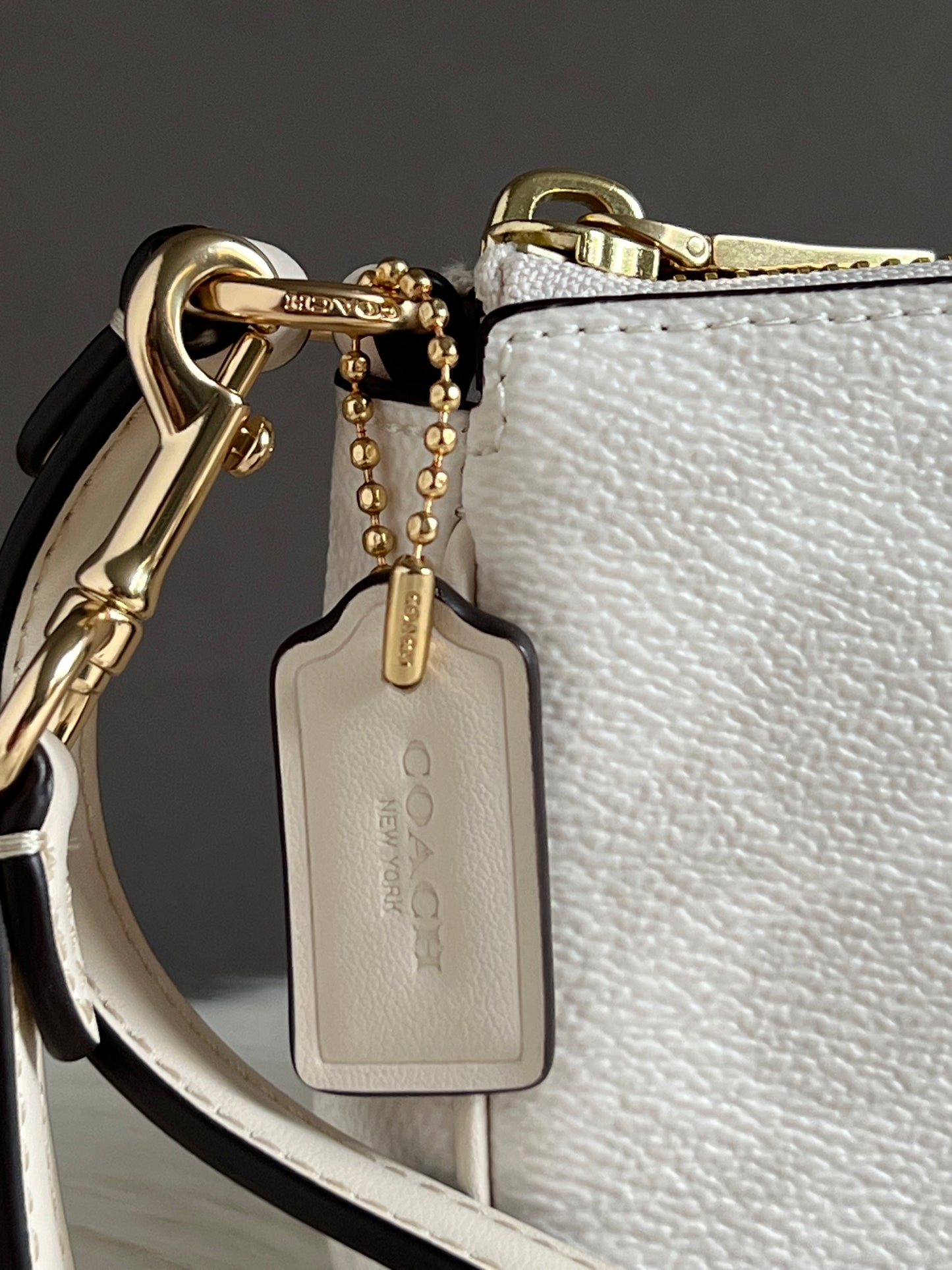 Coach Nolita 19 In Signature Canvas
