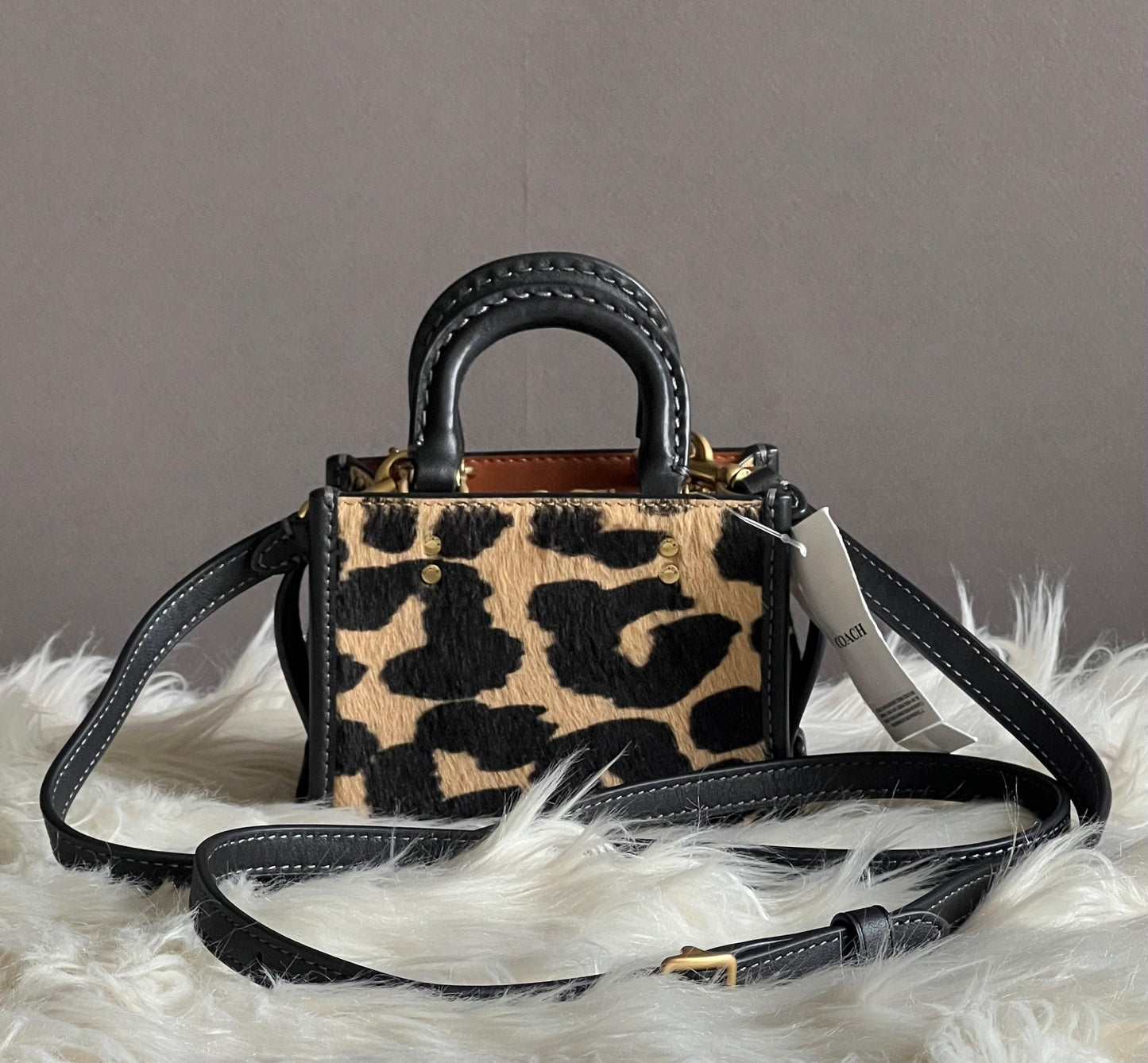 Coach Rogue 12 in Haircalf with Leopard Print
