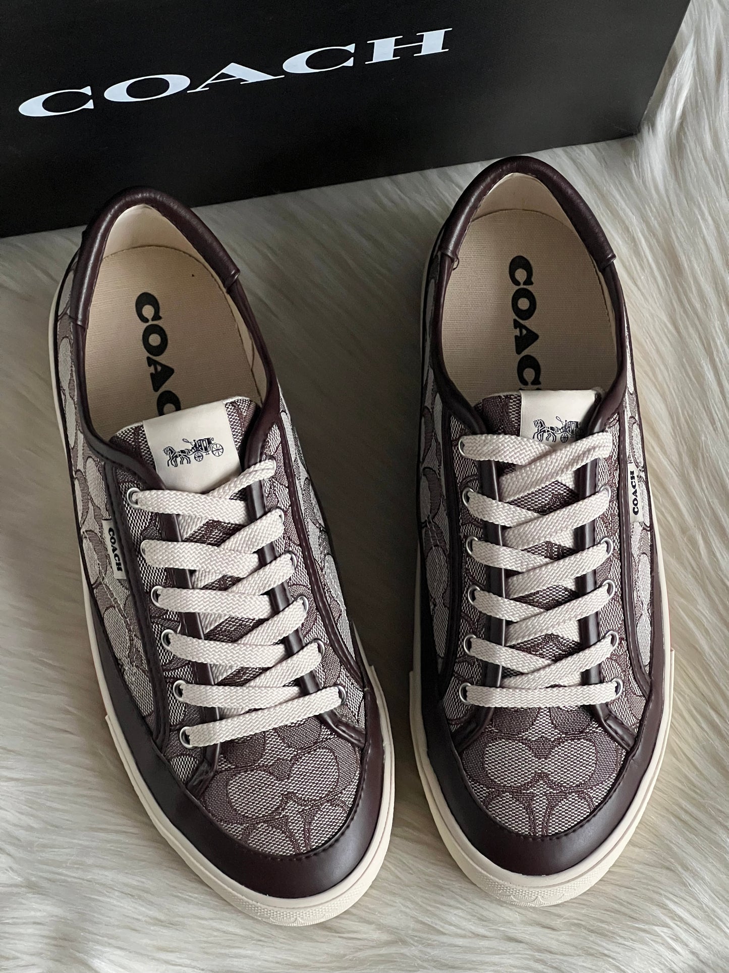 Coach Citysole Platform Sneaker