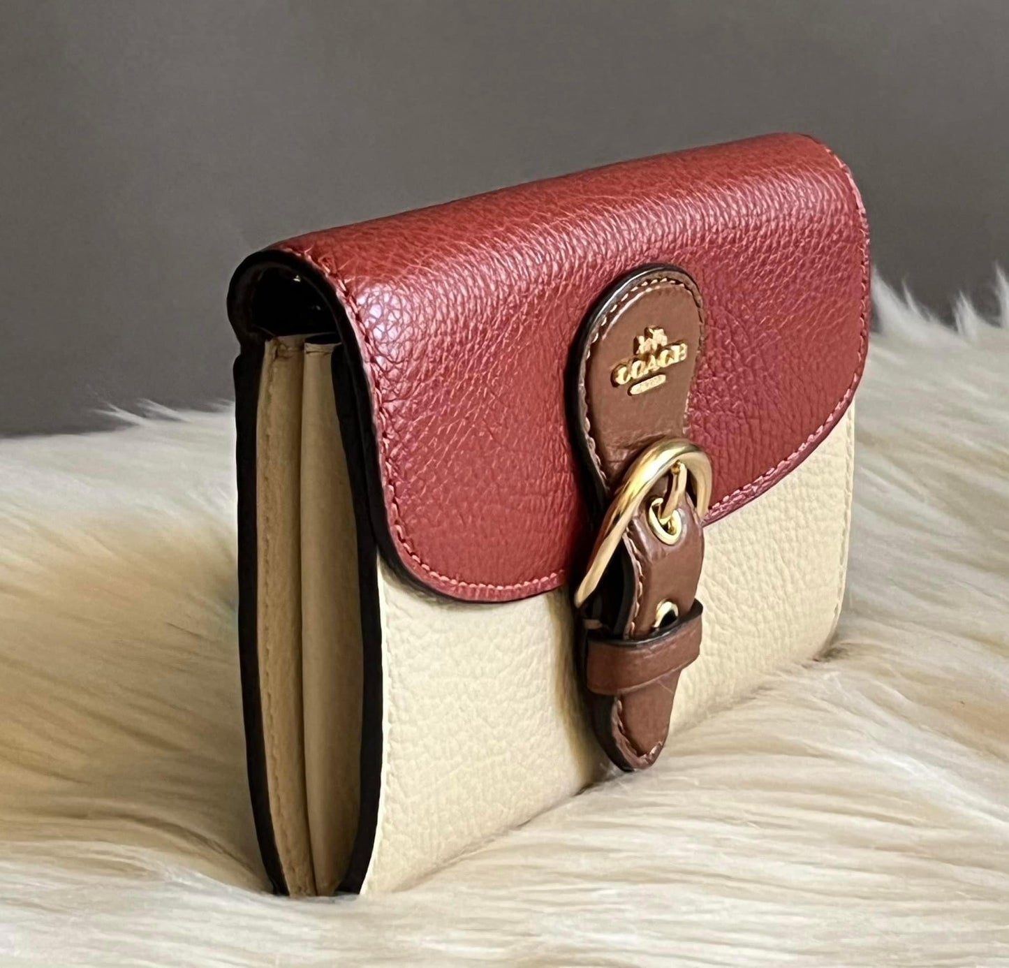 Coach Kleo Wallet in Colorblock