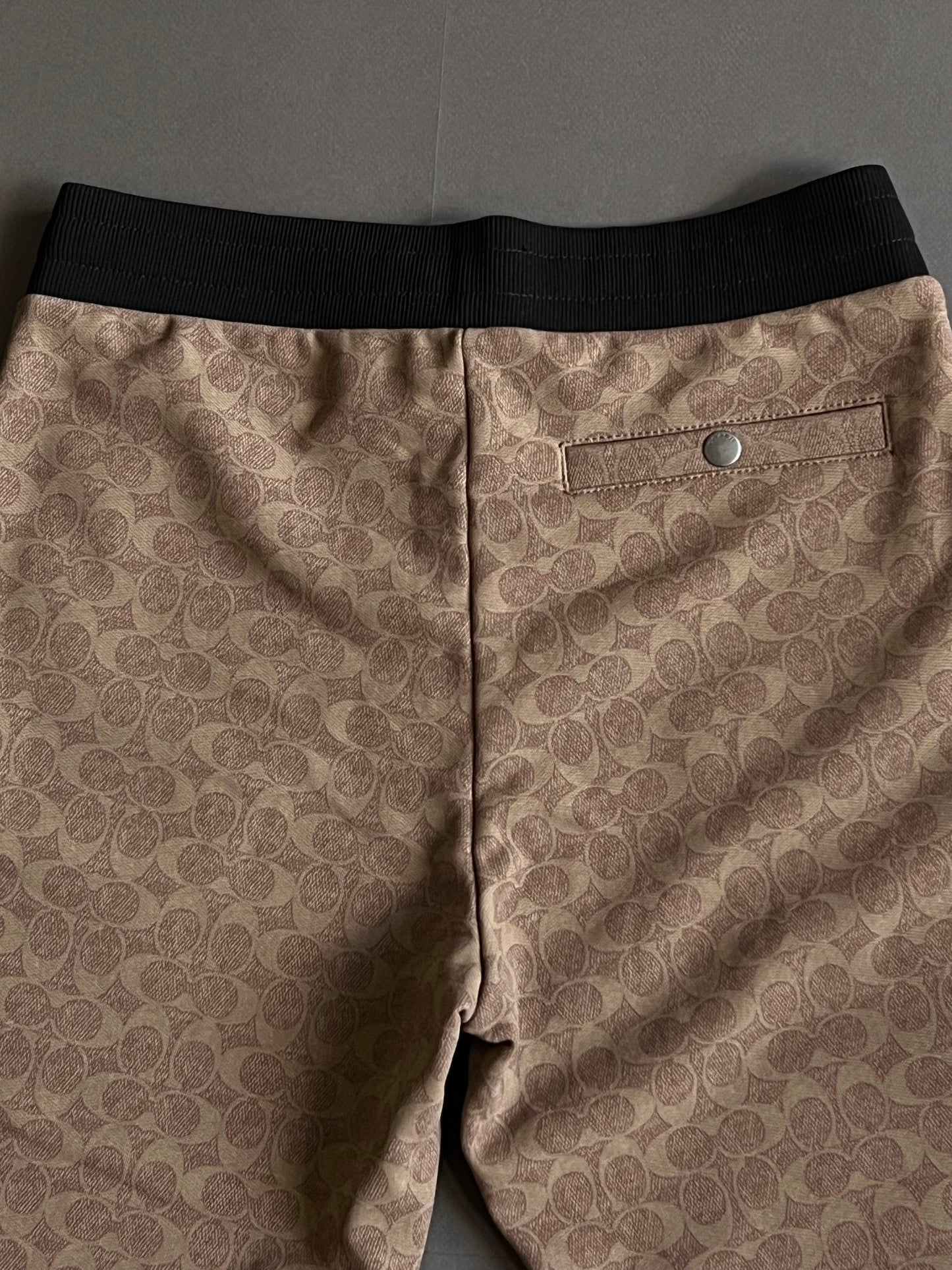 Coach Essential Joggers In Signature