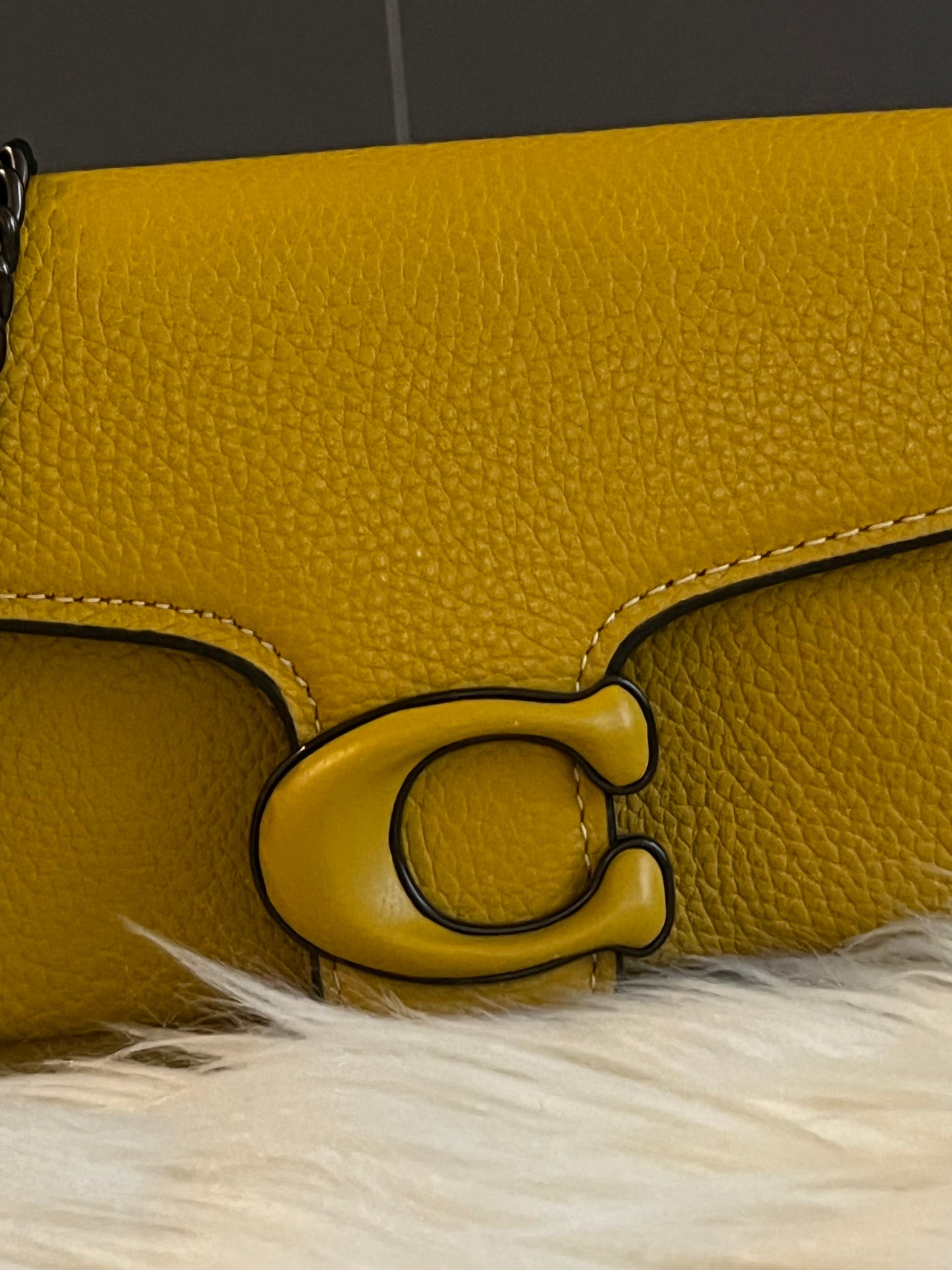 Coach Tabby Crossbody Wristlet