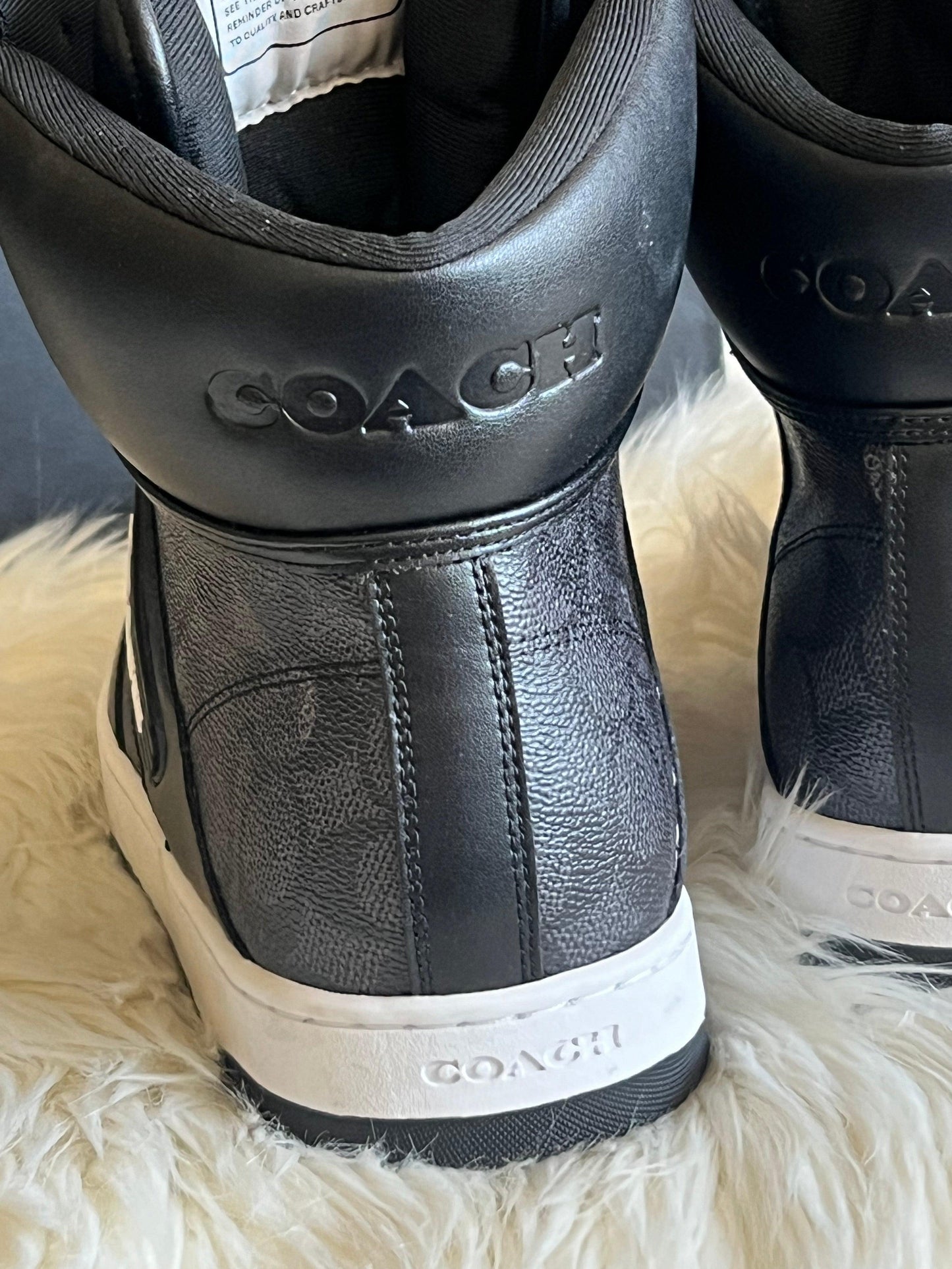 Coach High Top Sneaker in Signature Canvas