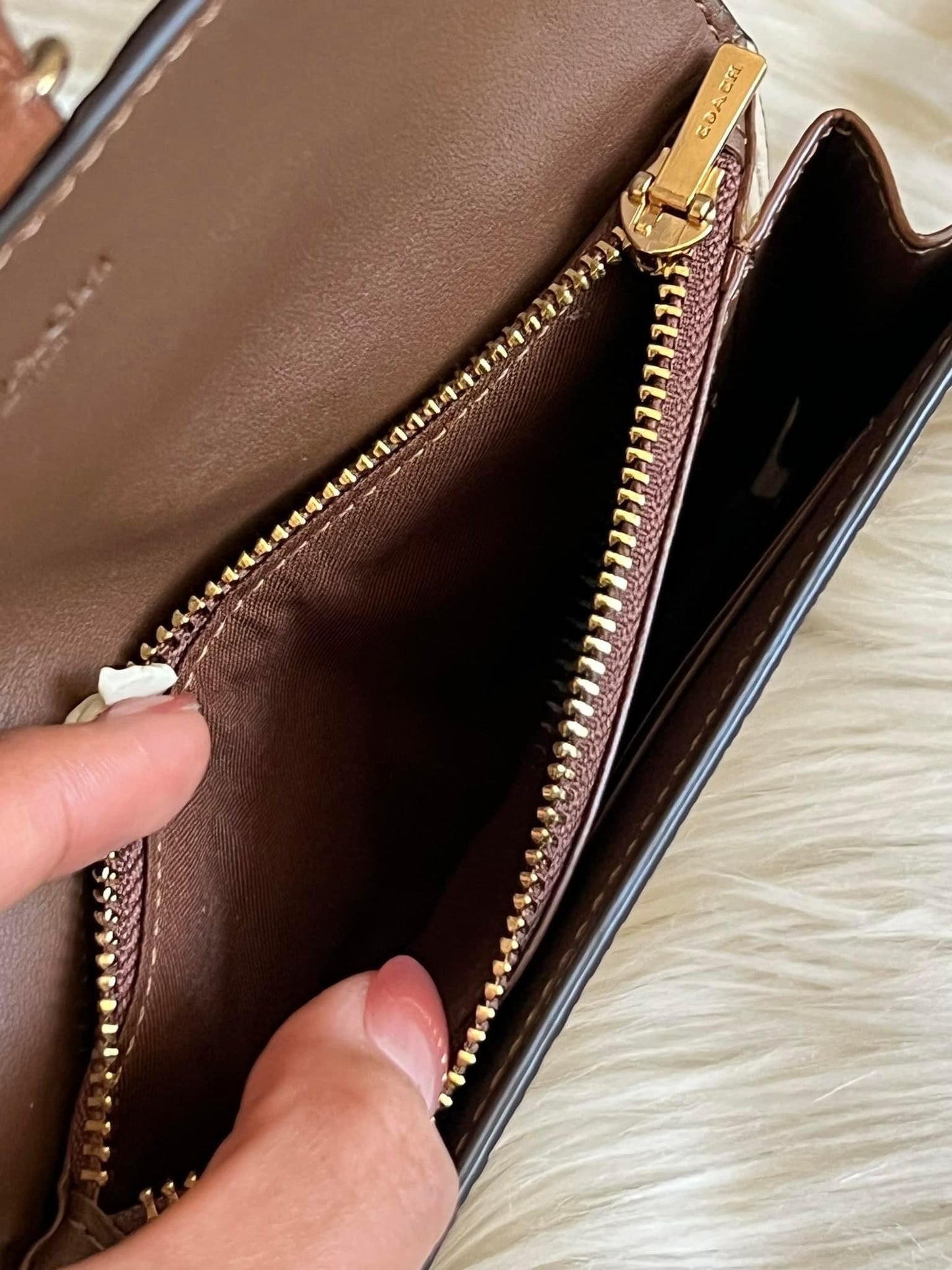 Coach Kleo Wallet in Colorblock