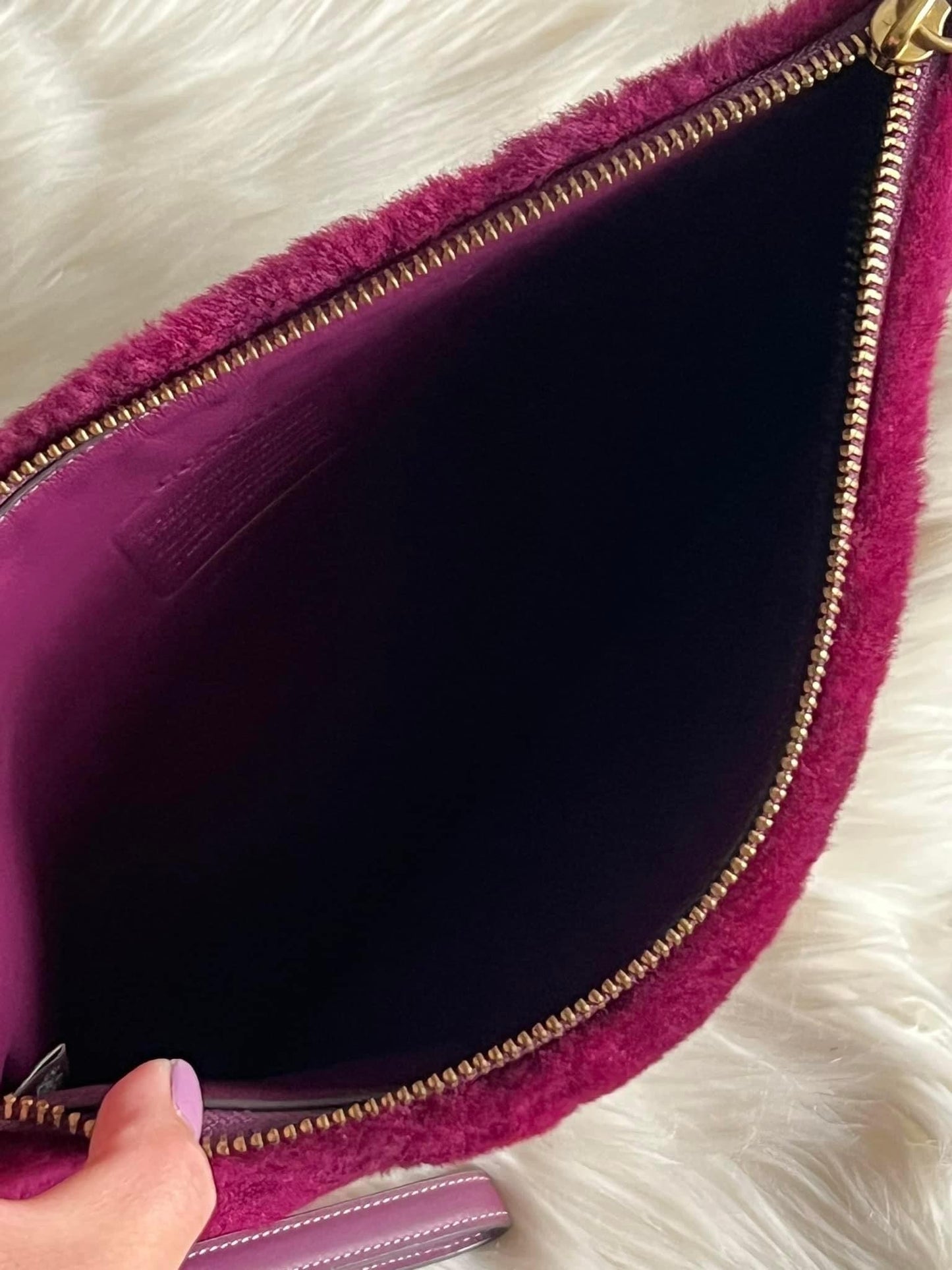 Coach Charter Pouch in Signature Shearling
