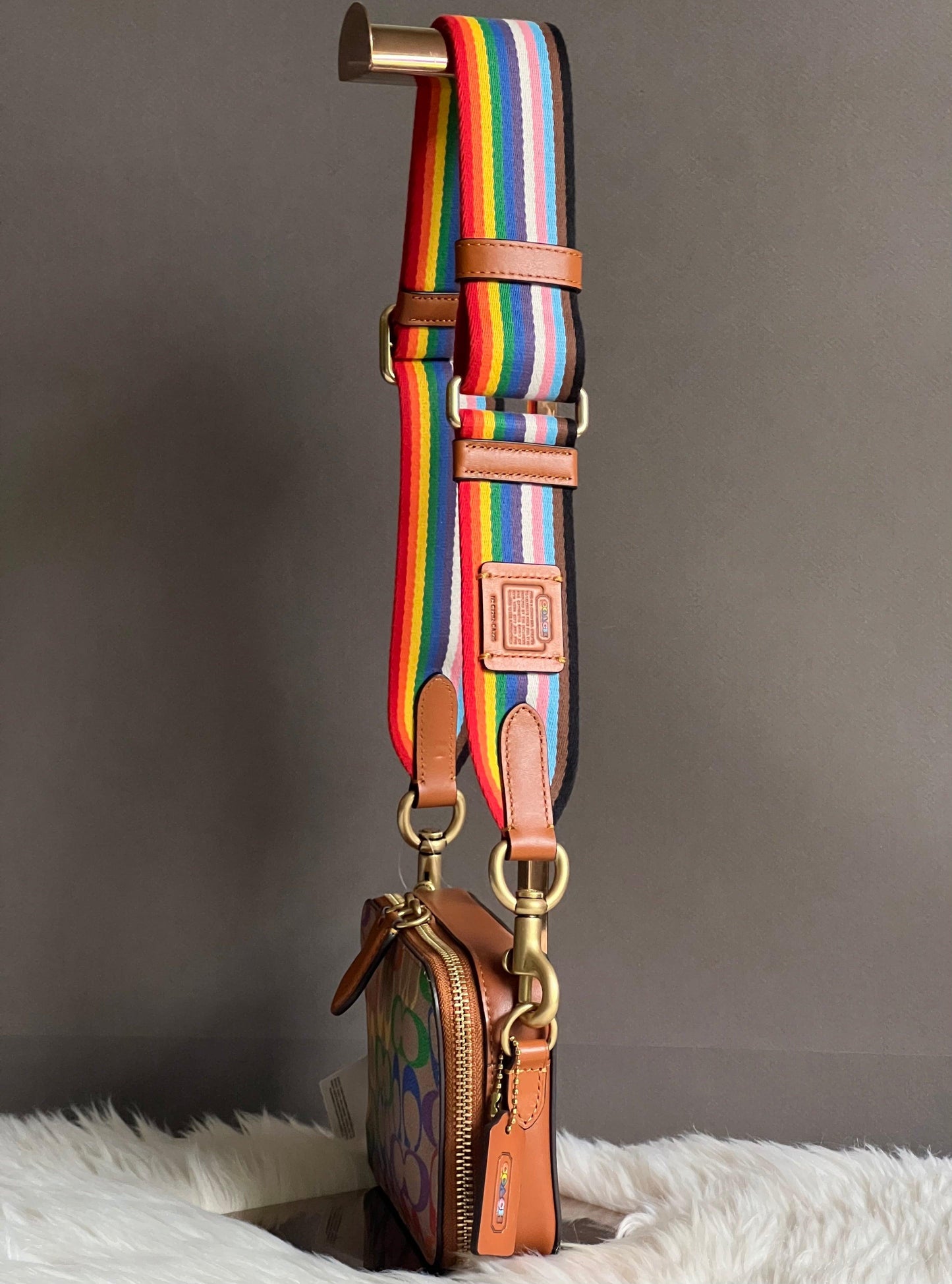 Coach Rainbow Webbing Strap