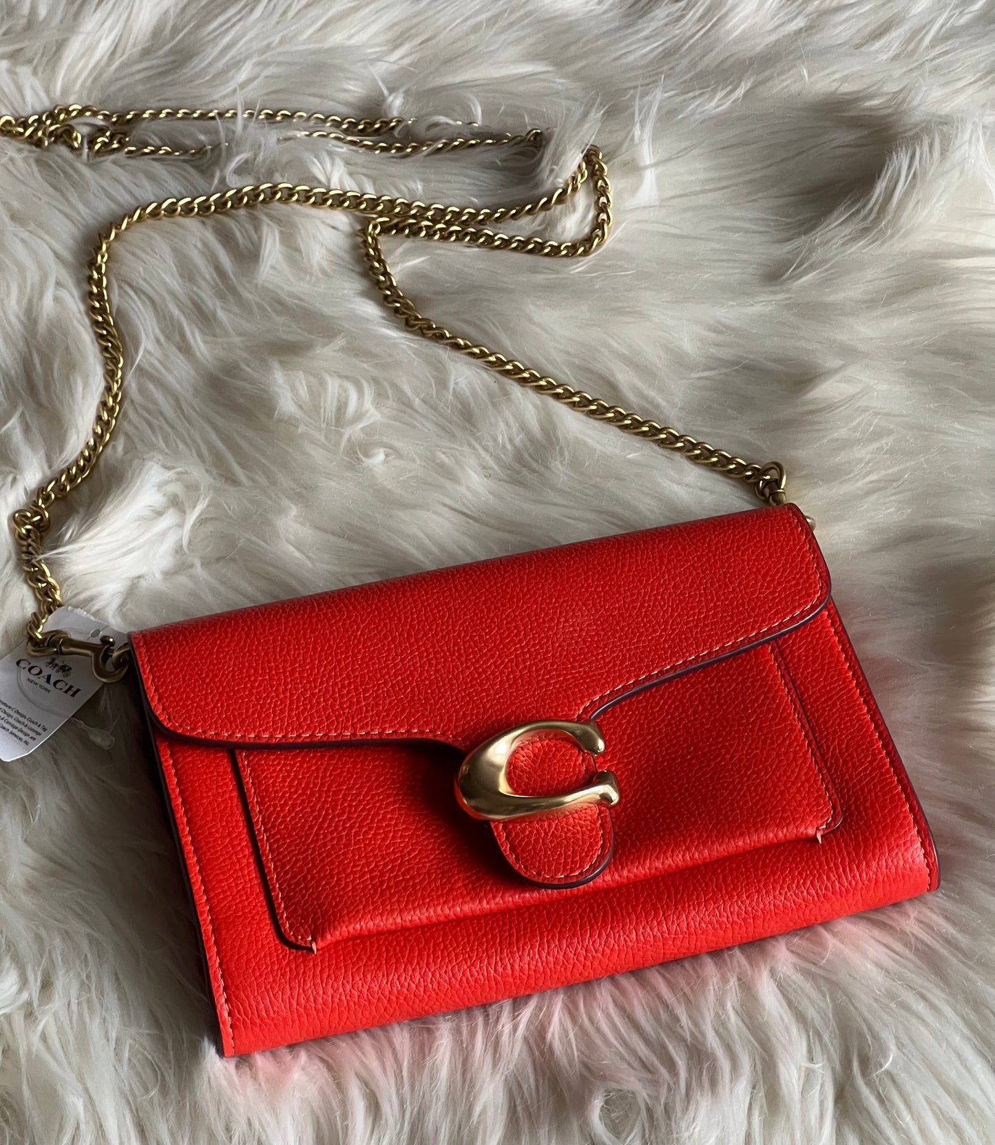 Coach Tabby Chain Clutch