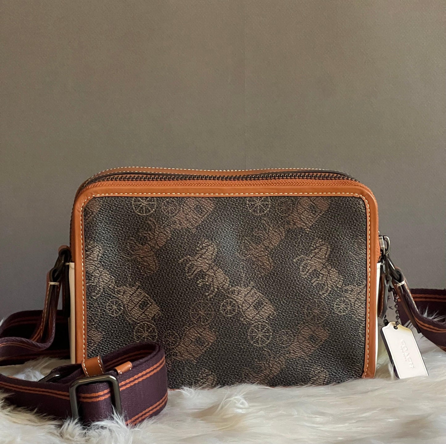 Coach Charter Crossbody 24 with Large Horse and Carriage Print