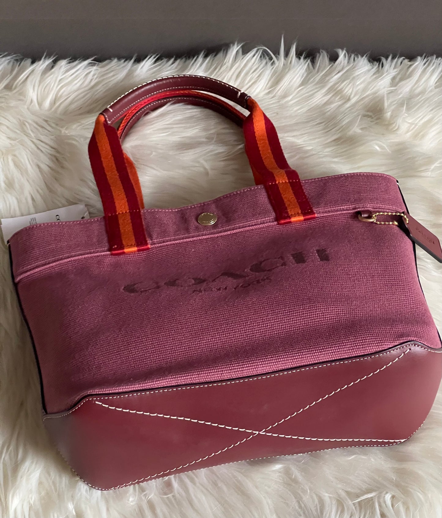 Coach Small Canvas Tote