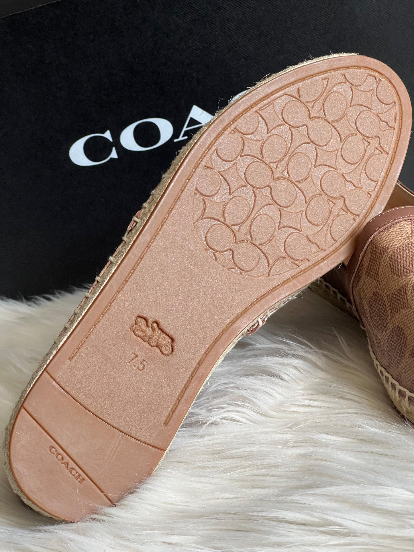 Coach Collins Espadrille in Signature Canvas