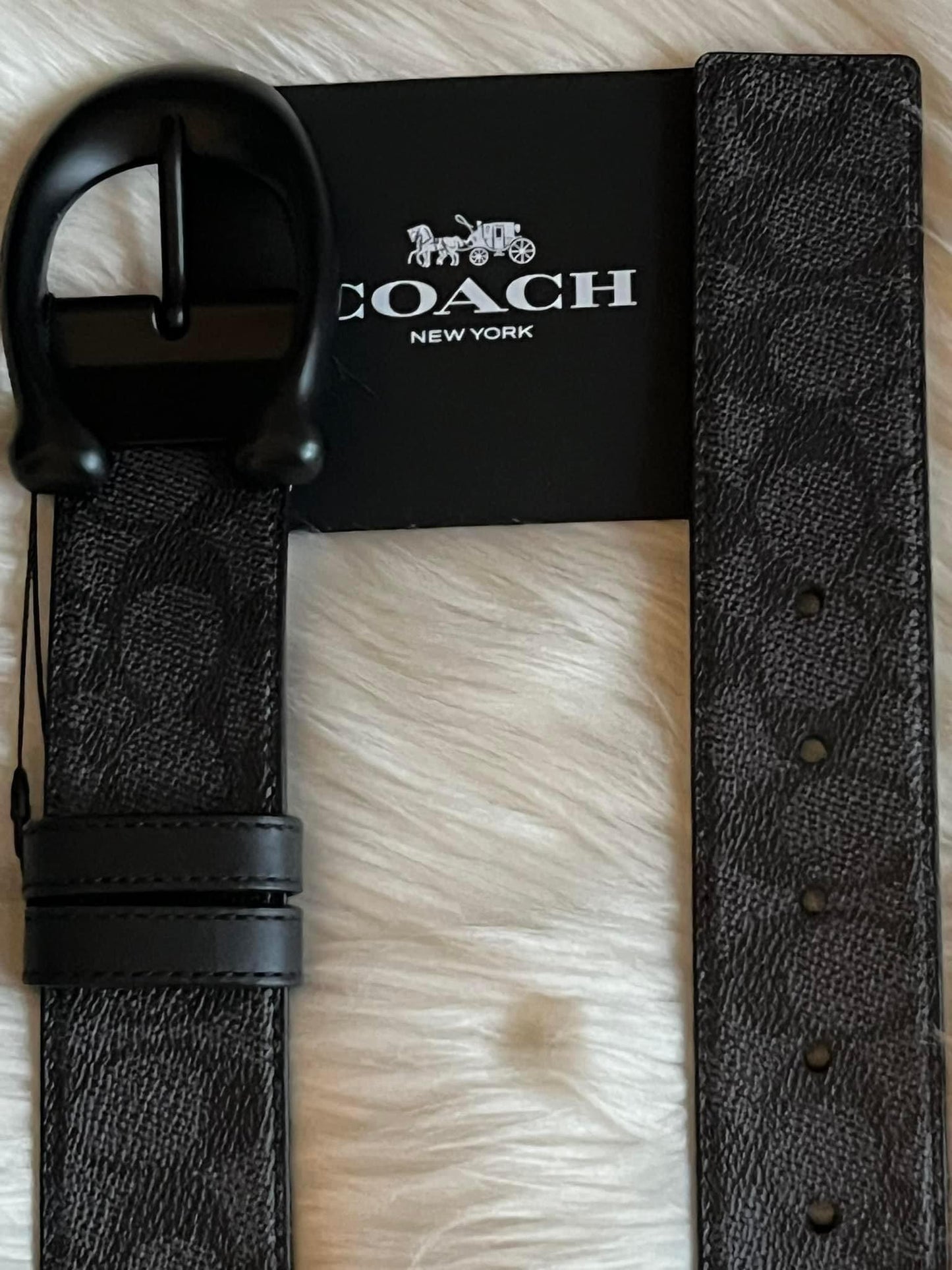 Coach Men’s Sculpted C Buckle Cut To Size