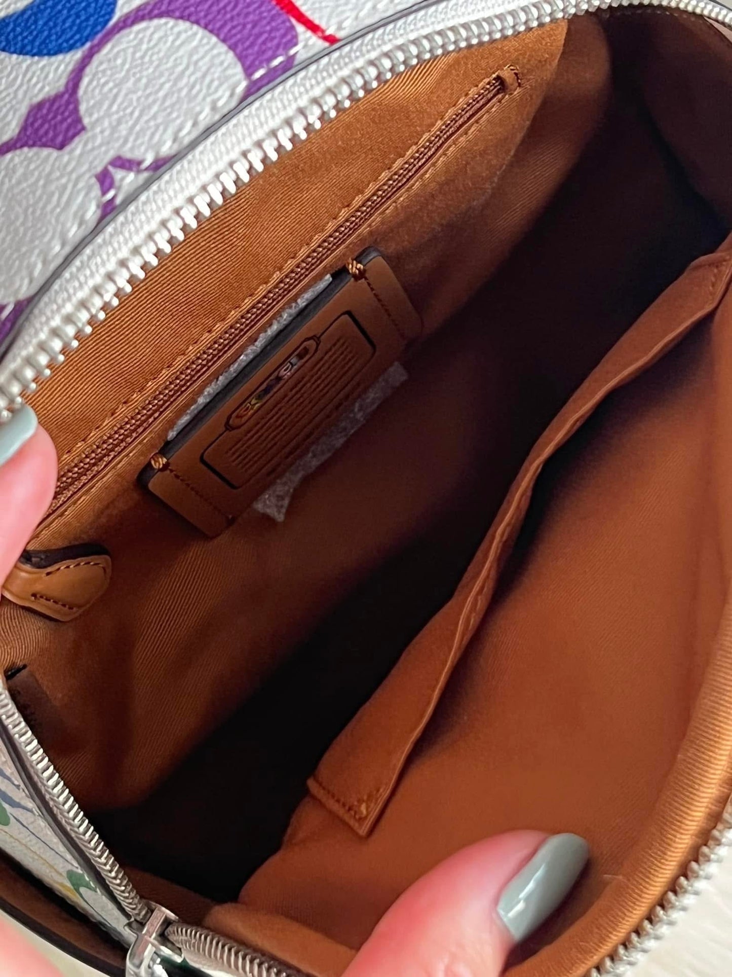 Coach Mini Court Backpack in Rainbow Signature Canvas