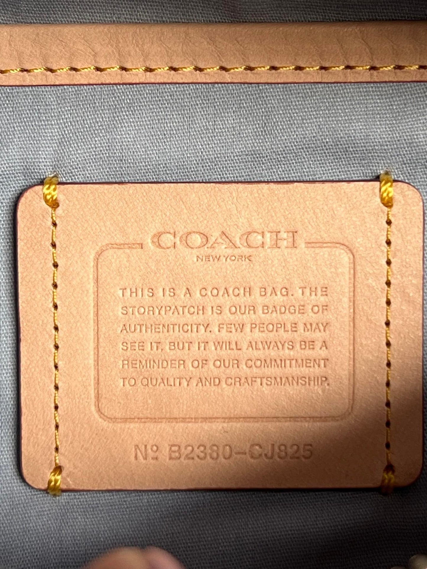 Coach Charter Belt Bag 7 in Signature Denim