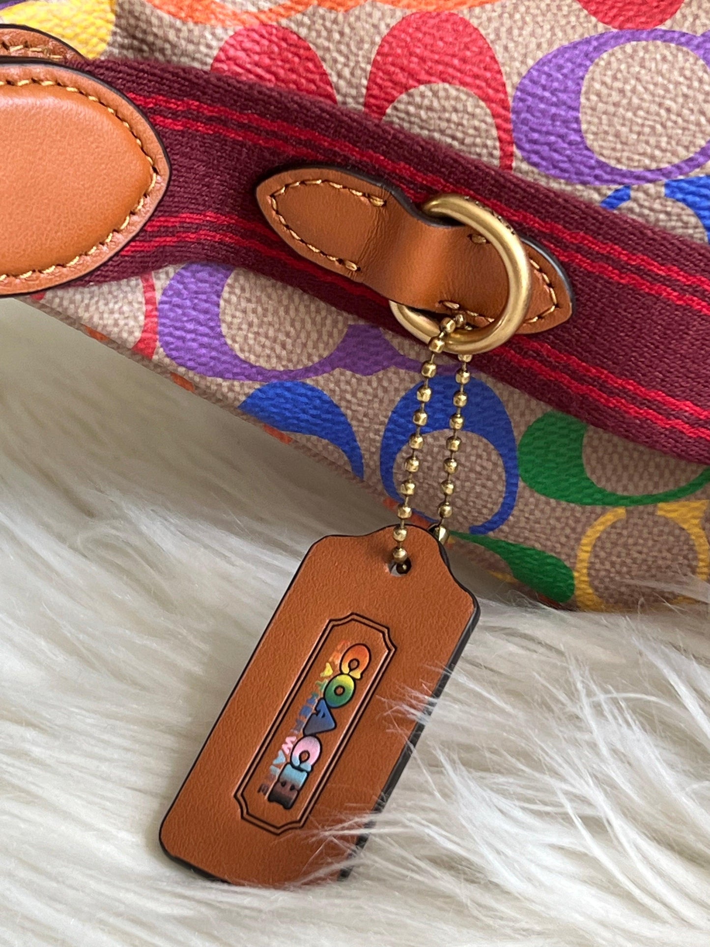 Coach Charter Belt Bag 7 in Rainbow Signature Canvas