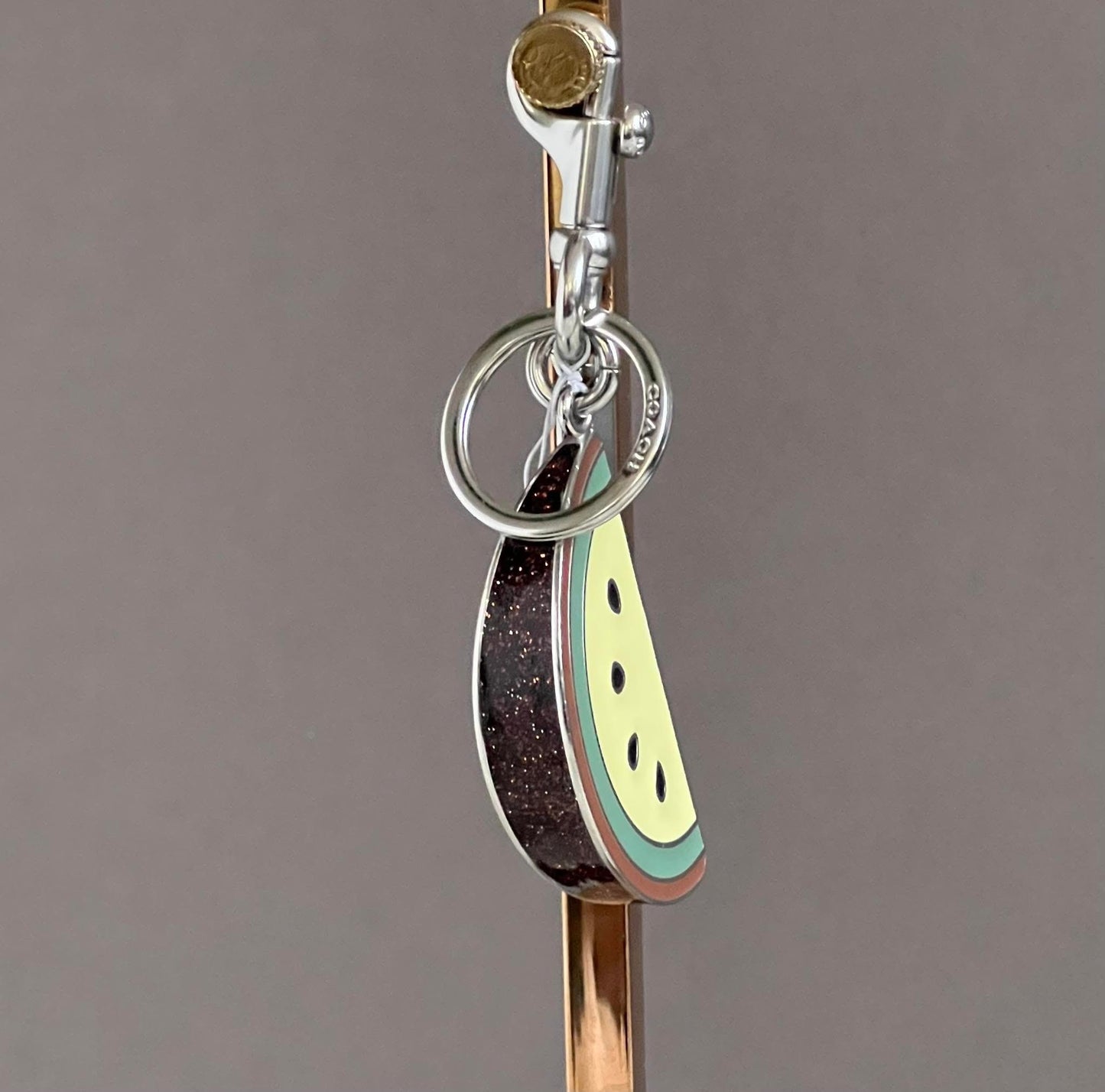 Coach Melon Slice Bag Charm