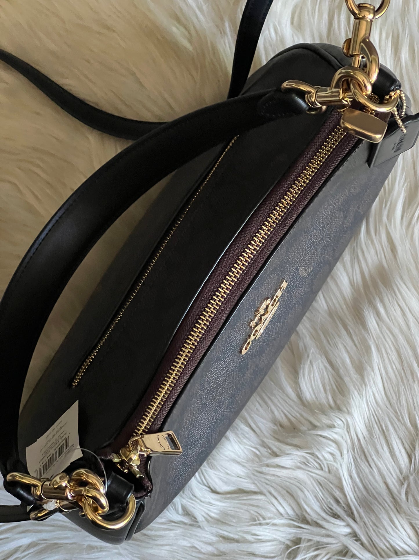 Coach Teri Hobo Bag in Signature Canvas