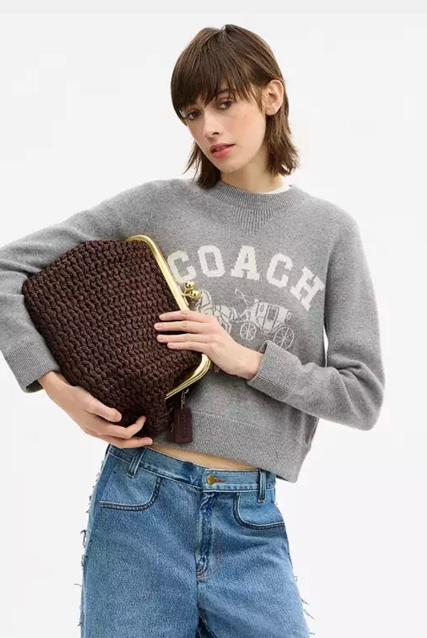 Coach Kisslock Frame Bag 27