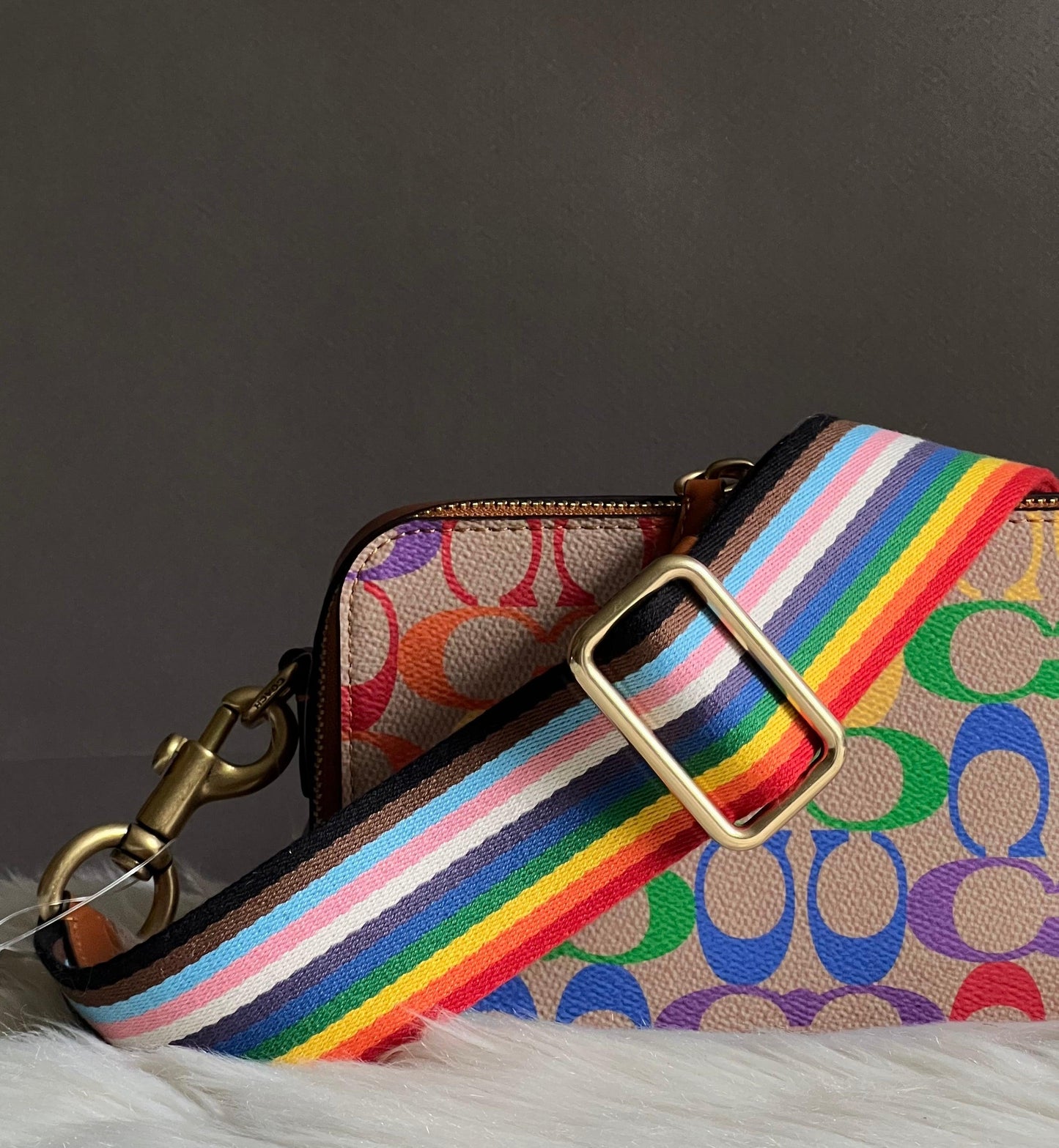 Coach Rainbow Webbing Strap