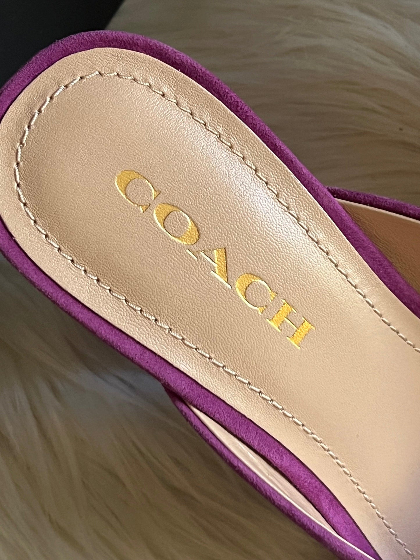 Coach Laurence Sandal