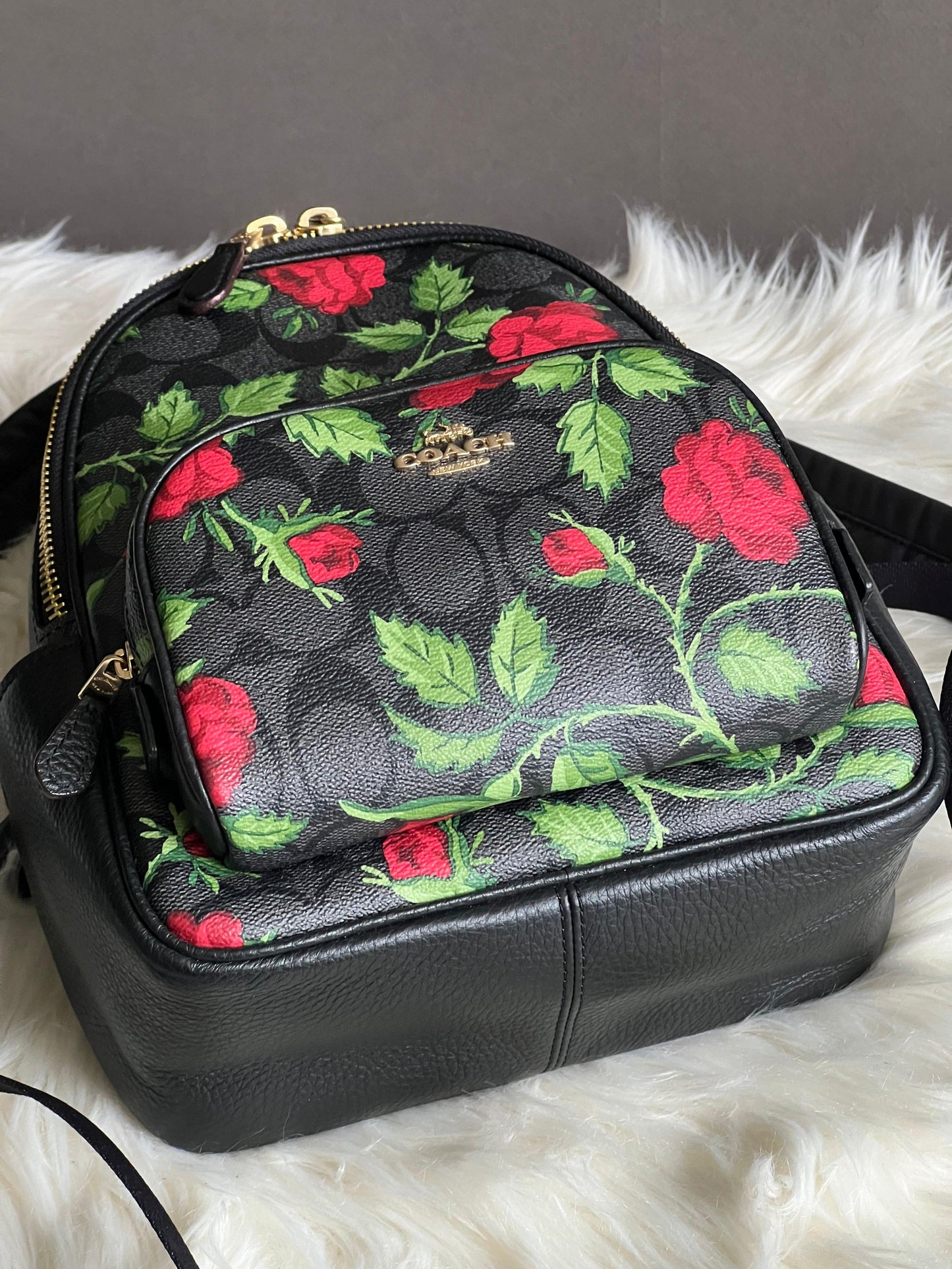 Coach Mini Court Backpack in Signature Canvas with Fairytale Rose Print