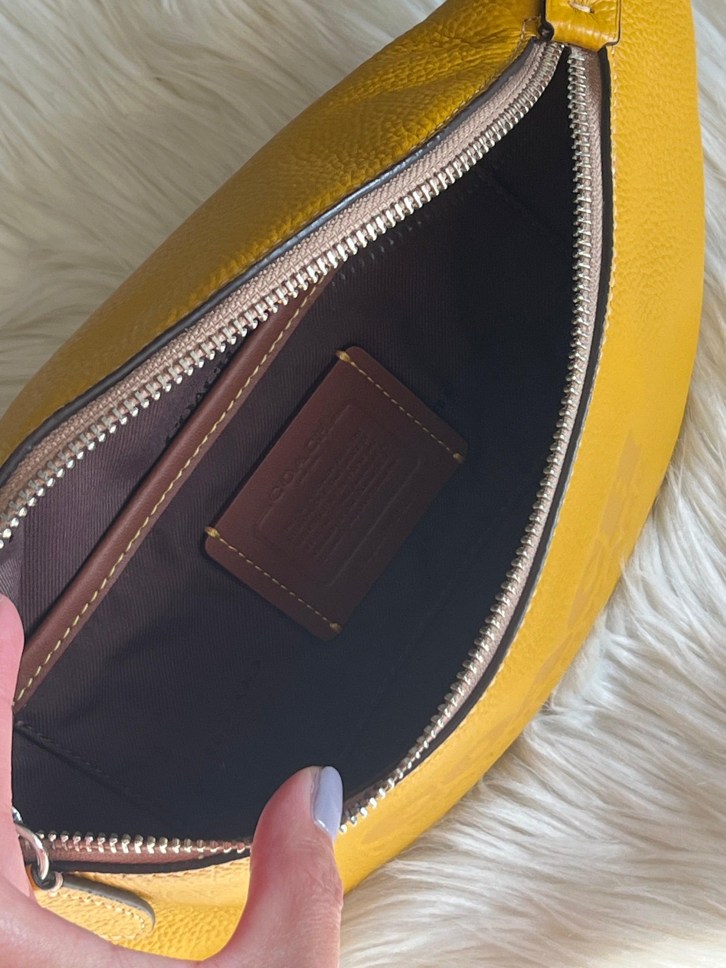 Coach Charter Belt Bag 7