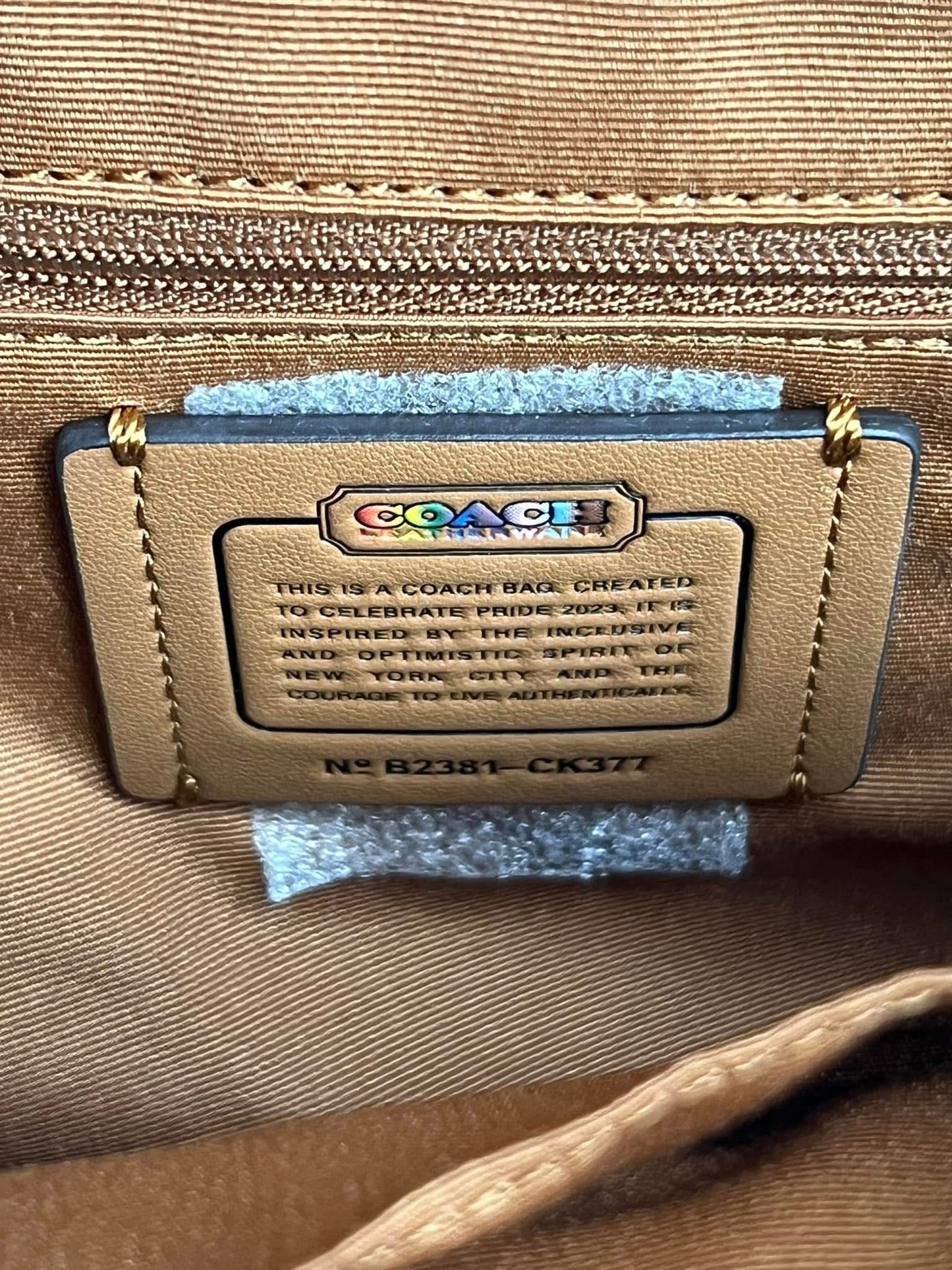 Coach Mini Court Backpack in Rainbow Signature Canvas