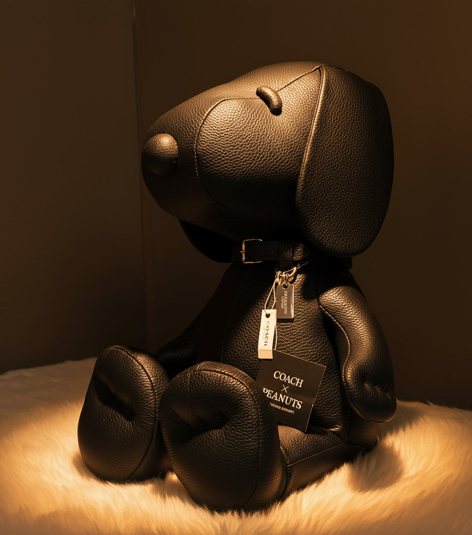 Coach X Peanuts Snoopy Leather Limited Edition