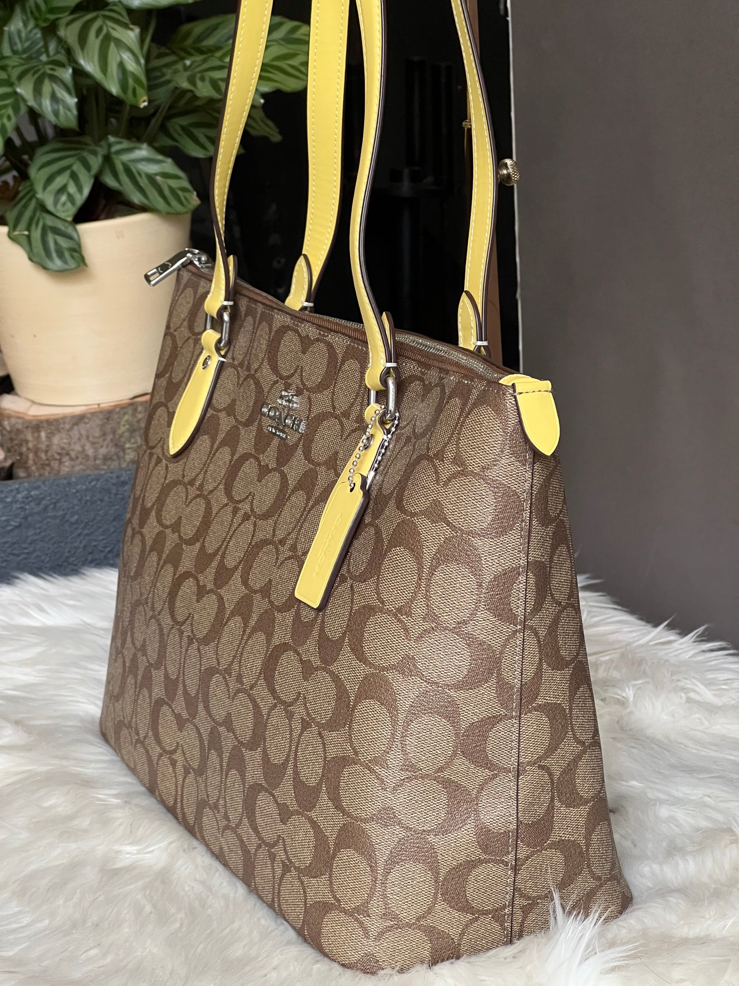 Coach Gallery Tote in Signature Canvas
