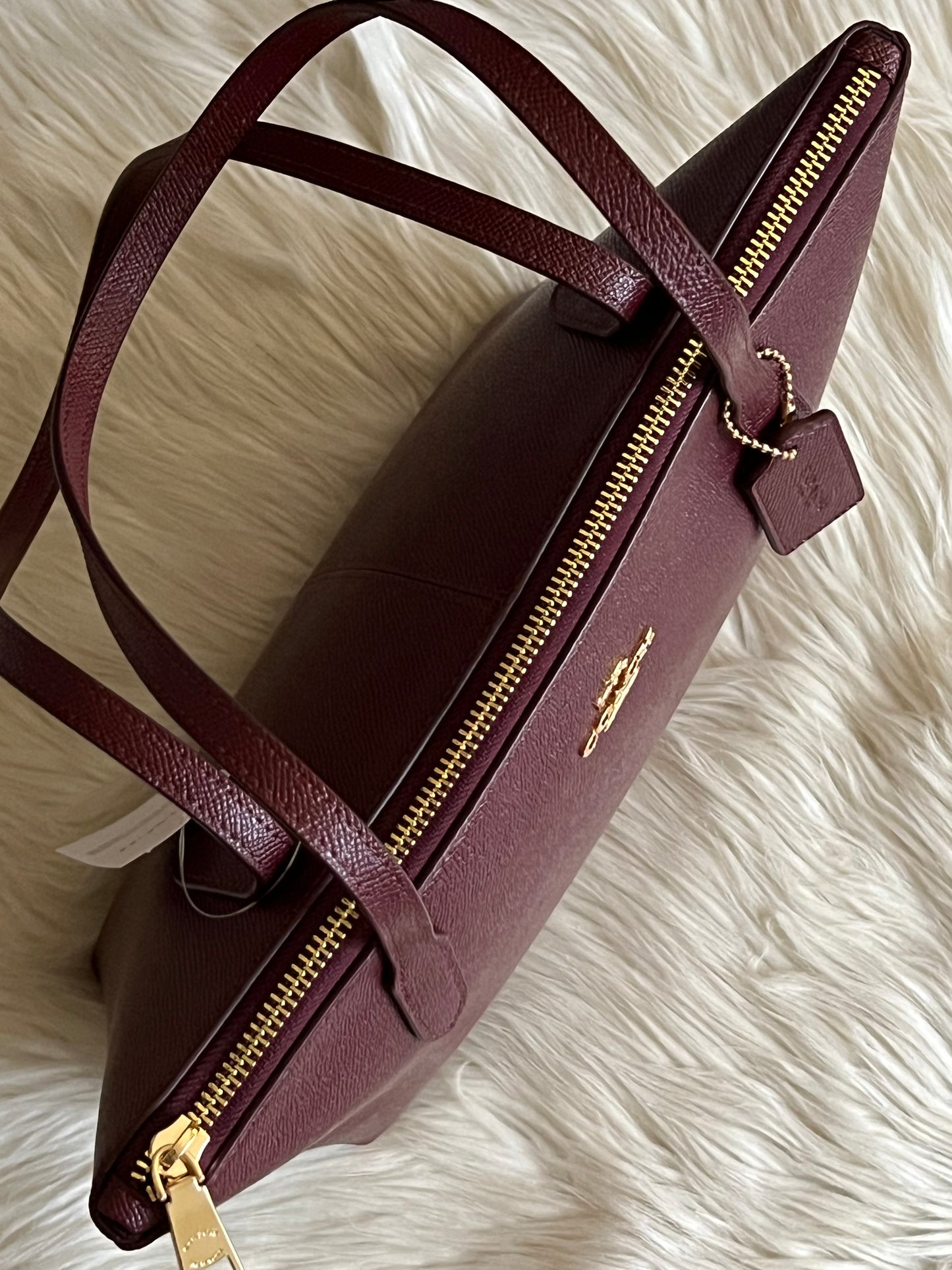 Coach Fiona Zip Tote Bag