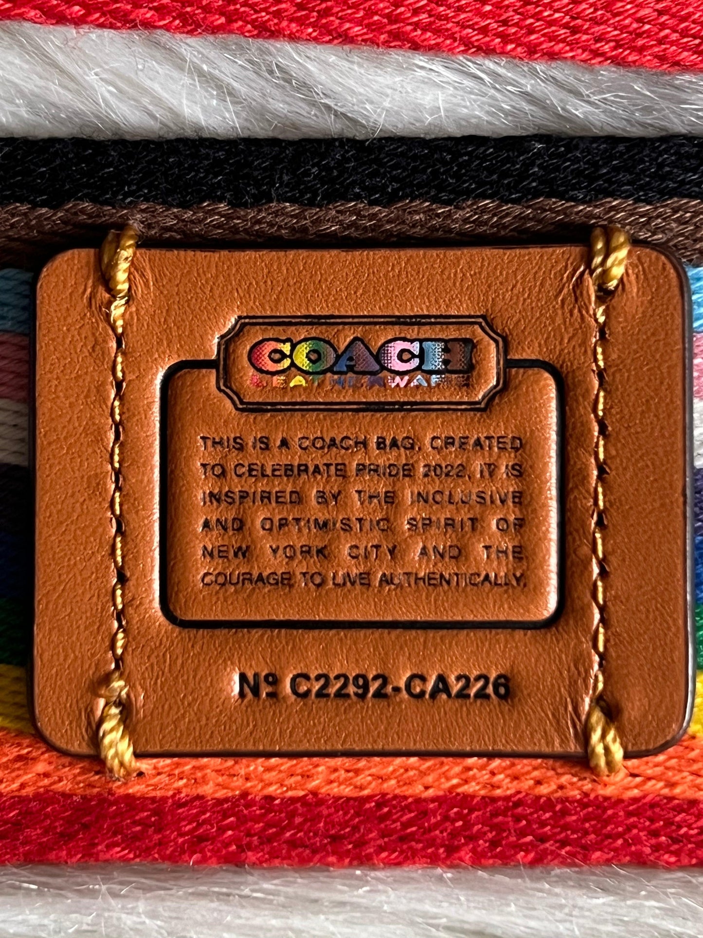 Coach Rainbow Webbing Strap