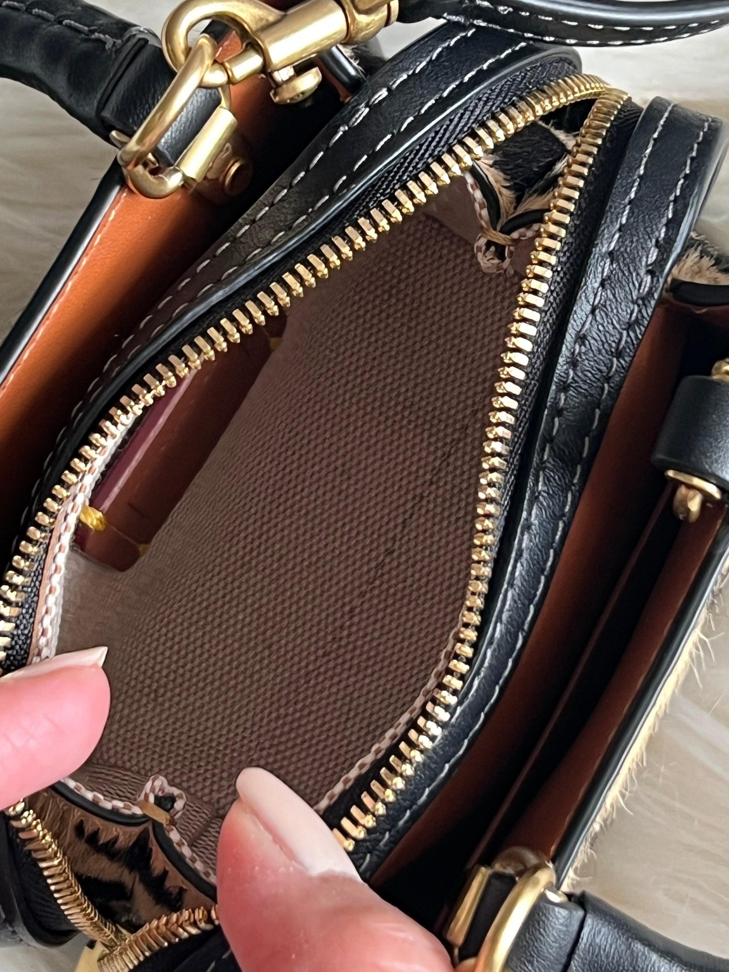 Coach Rogue 12 in Haircalf with Leopard Print