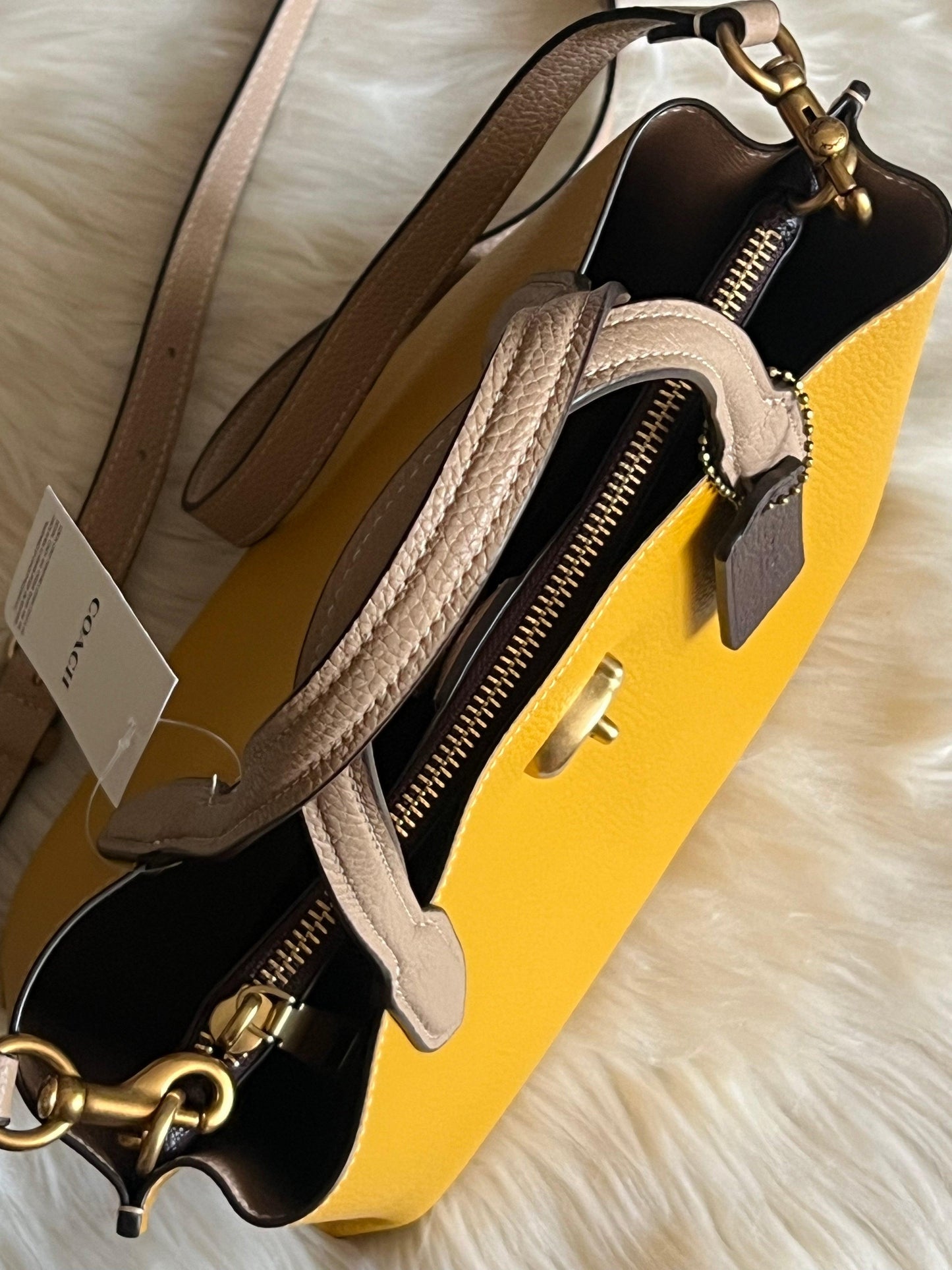 Coach Willow Tote 24 in Colorblock