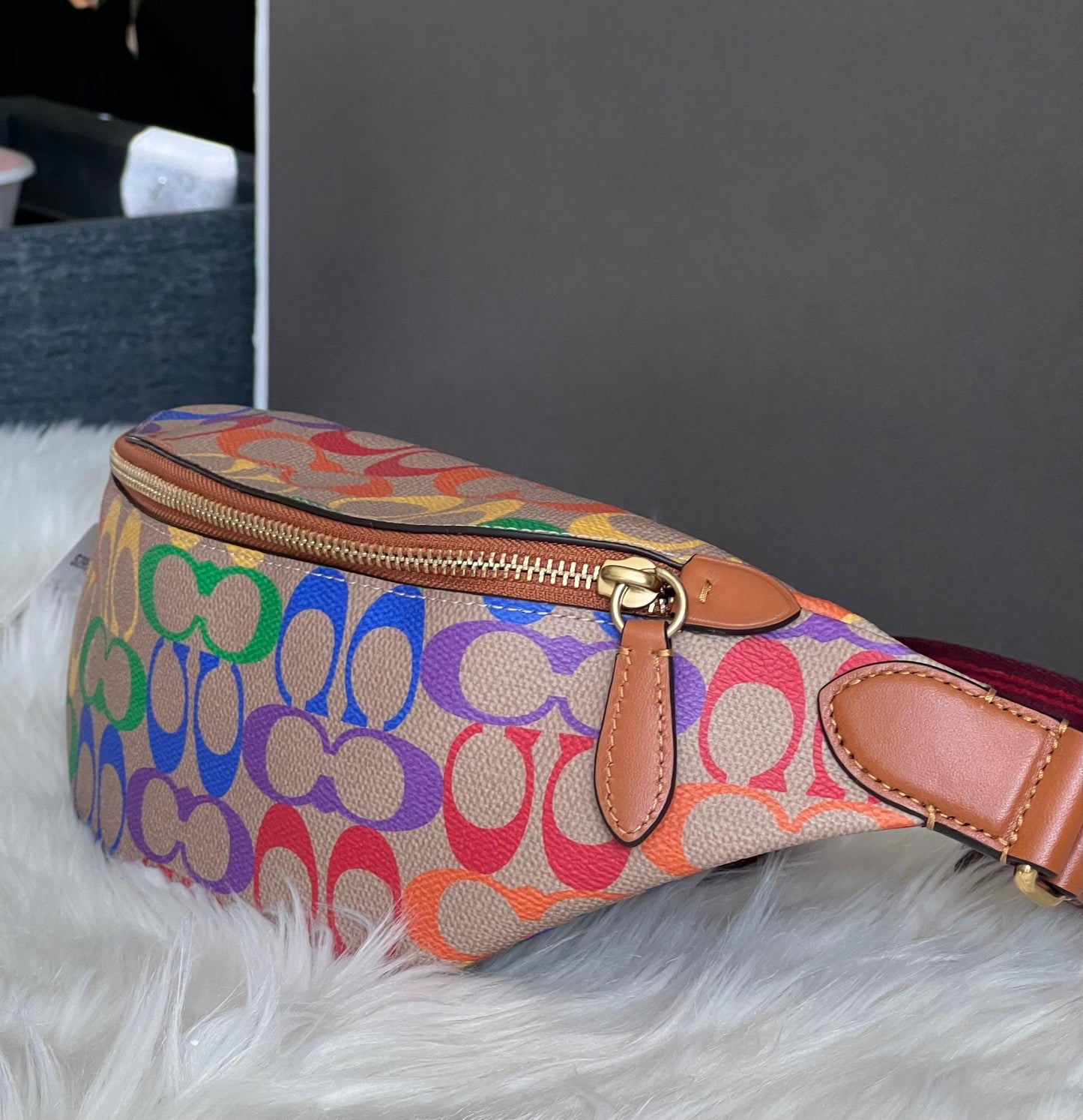 Coach Charter Belt Bag 7 in Rainbow Signature Canvas