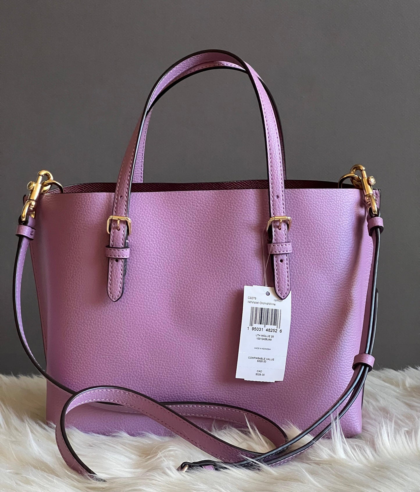 Coach Mollie Tote 25