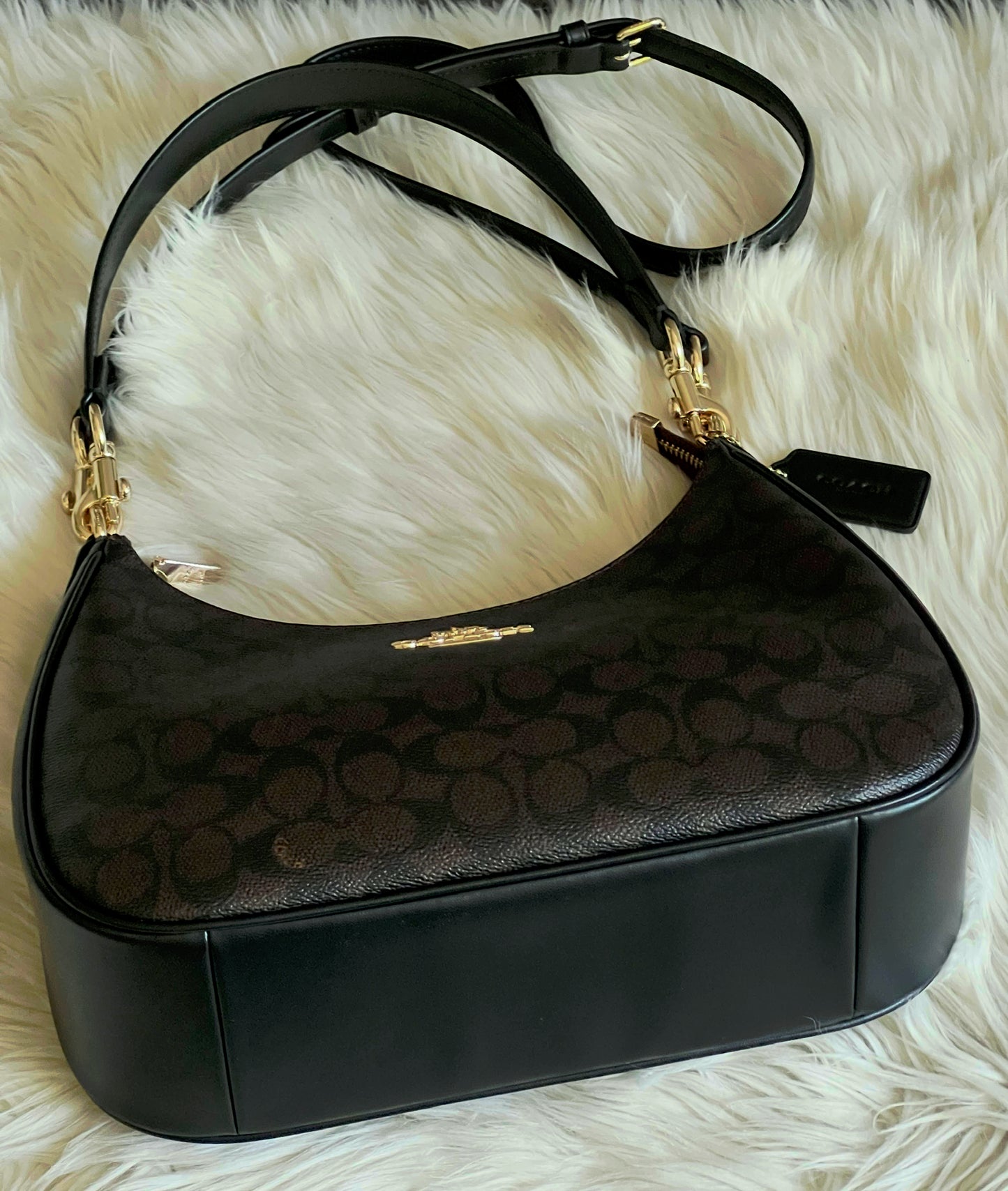 Coach Teri Hobo Bag in Signature Canvas