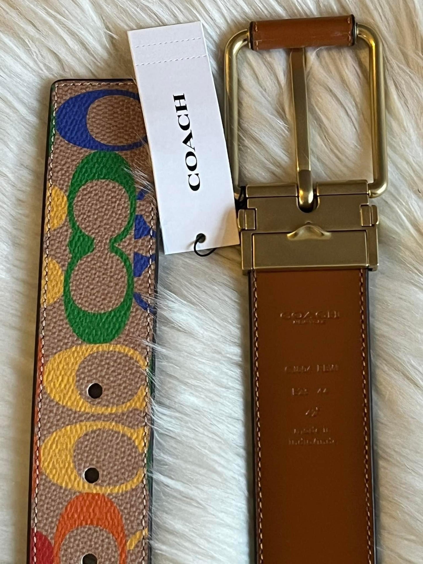 Coach Roller Buckle Cut To Size Reversible Belt In Rainbow Signature Canvas