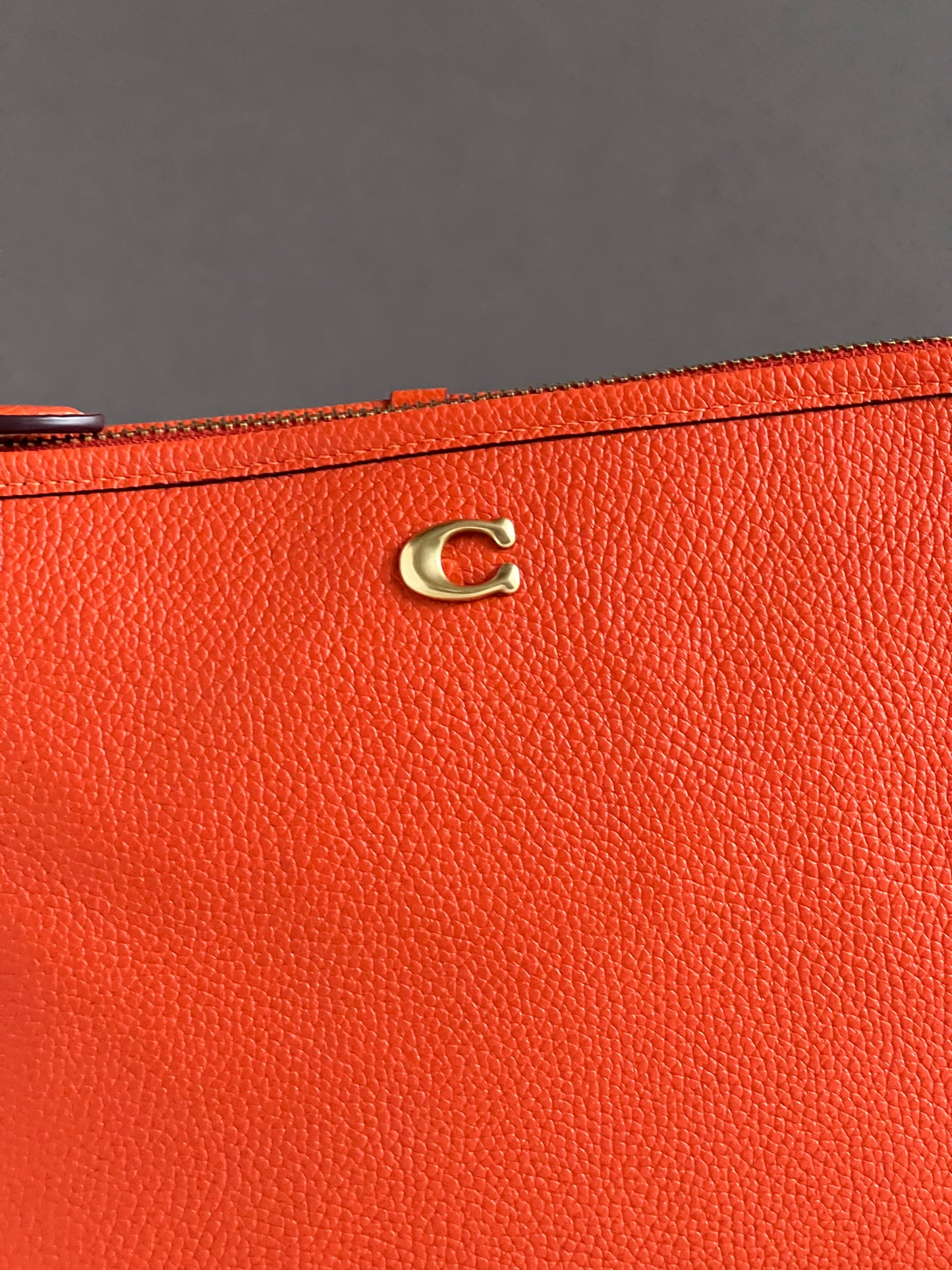 Coach Essential Pouch 28