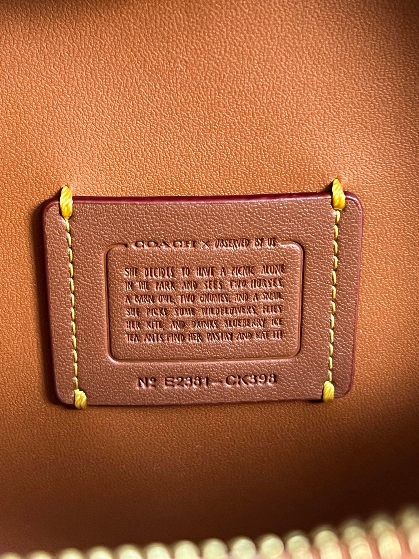 Coach X Observed By Us Heart Crossbody