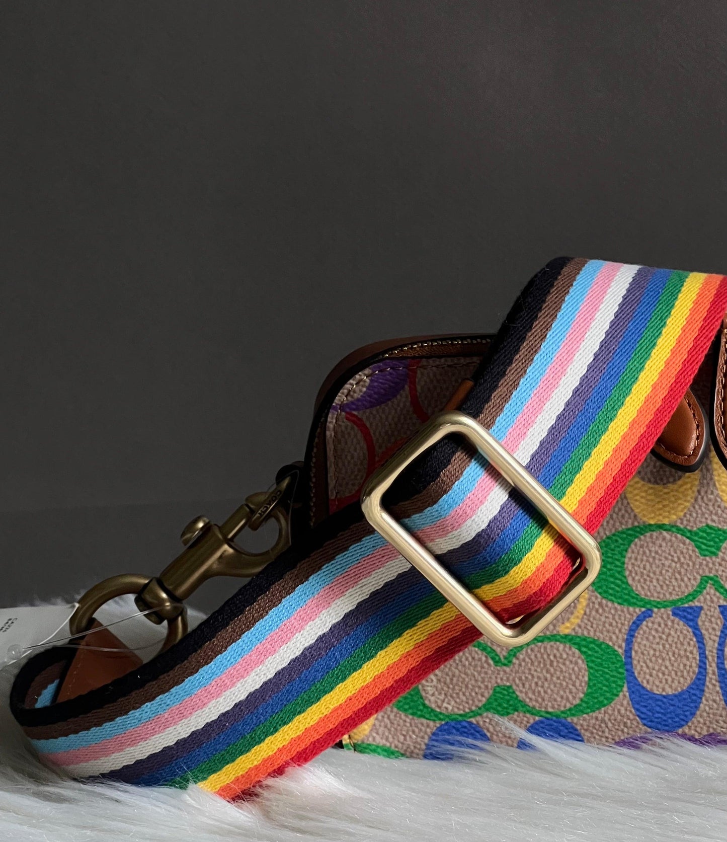 Coach Rainbow Webbing Strap
