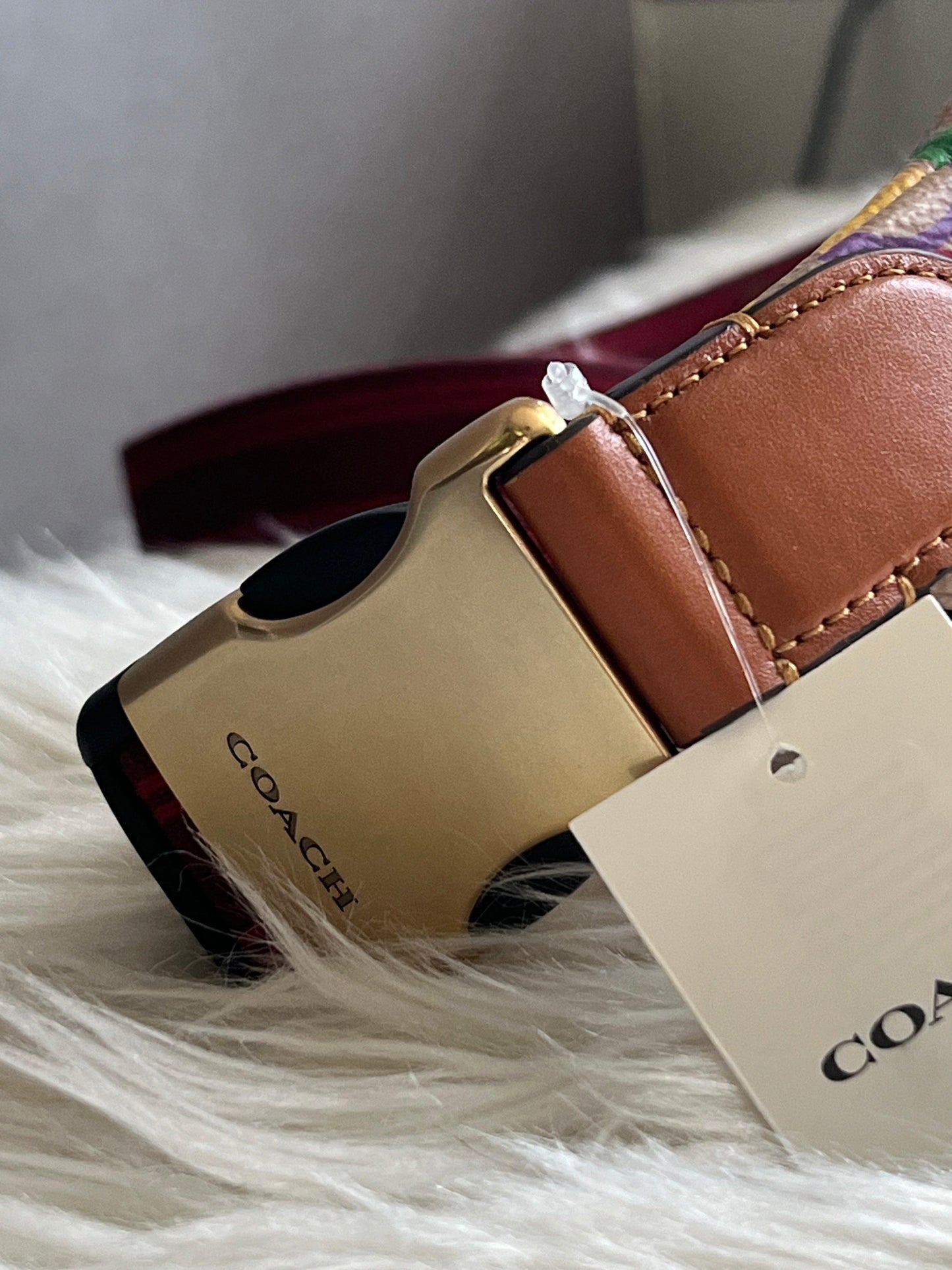 Coach Charter Belt Bag 7 in Rainbow Signature Canvas