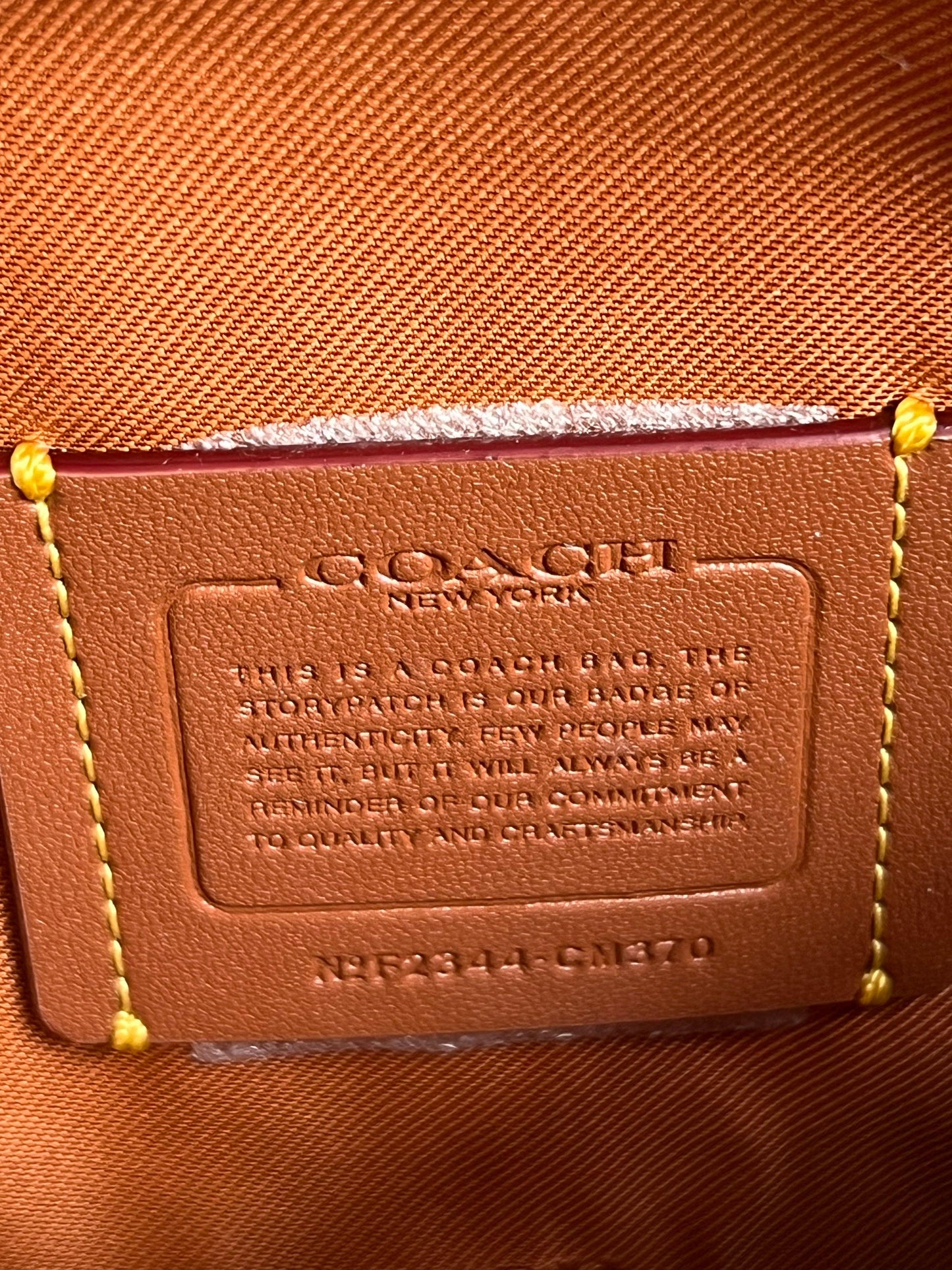 Coach Charter Crossbody with Hybrid Pouch