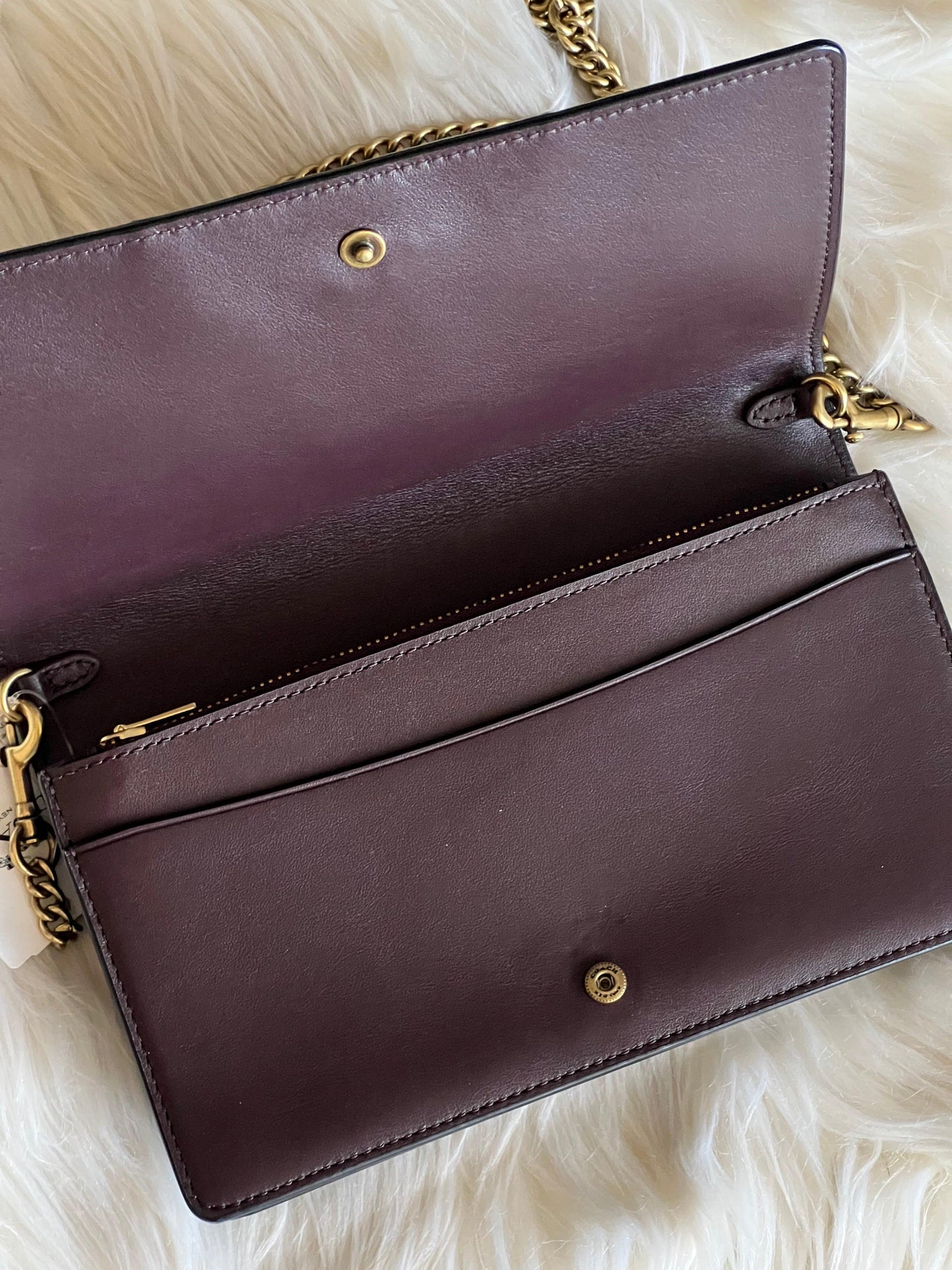 Coach Callie Foldover Chain Clutch in Blocked Snakeskin