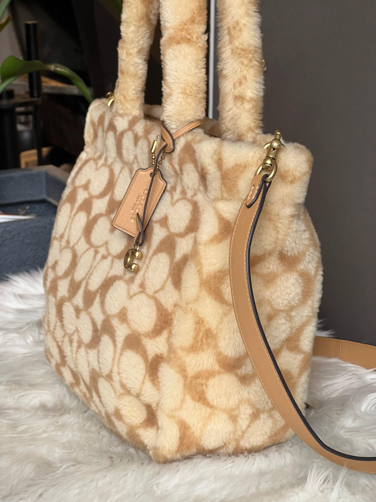 Coach Tote 28 in Signature Shearling