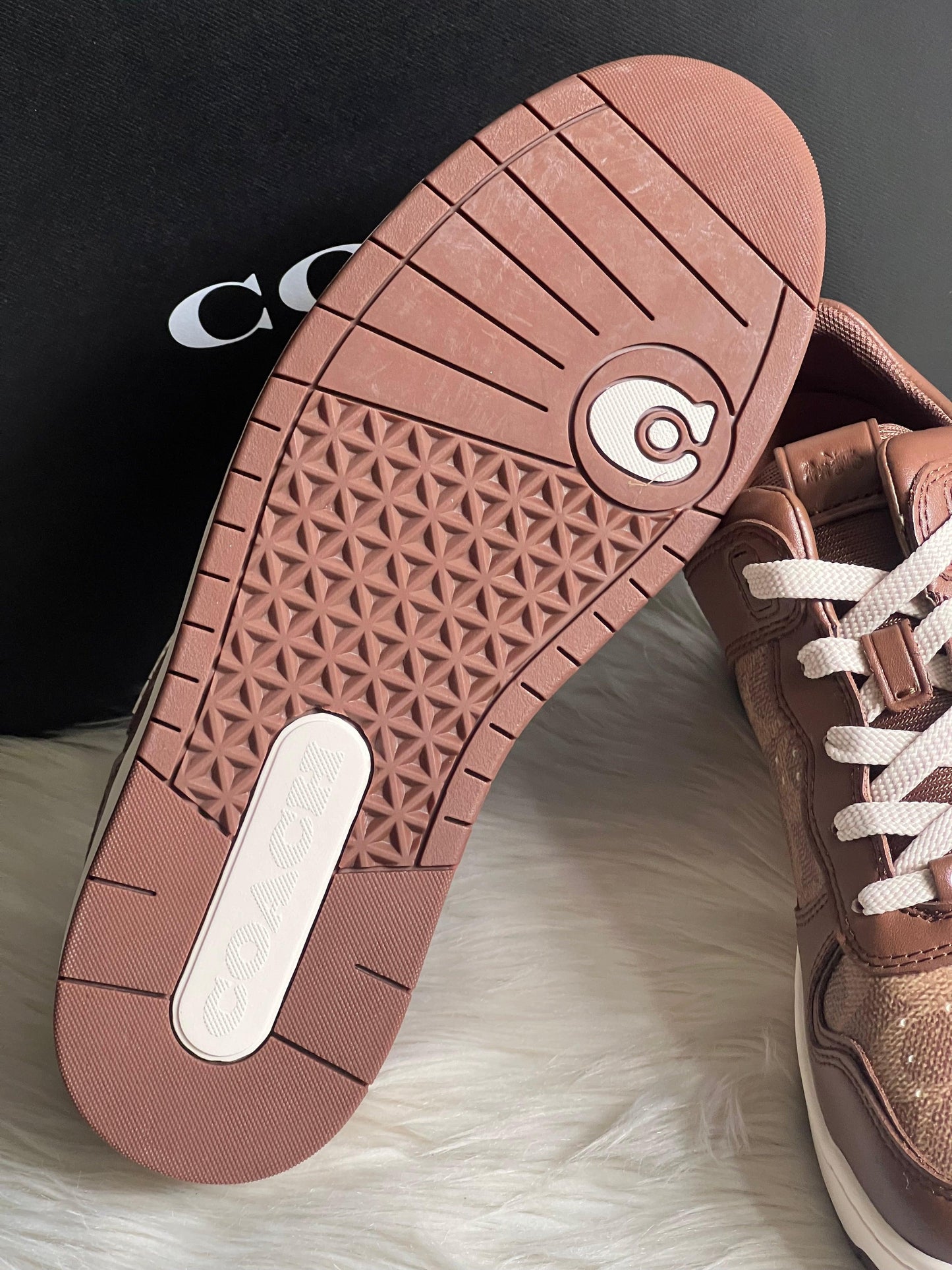 Coach Sneaker in Signature Canvas