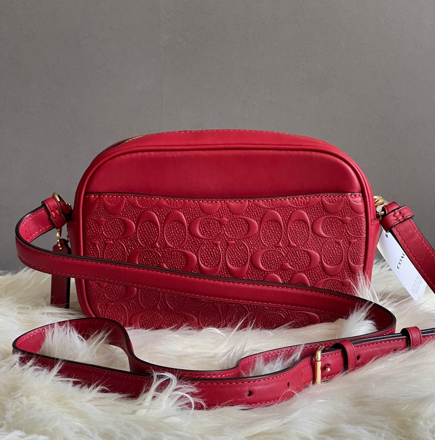 Coach Mini Jamie Camera Bag in Signature Leather