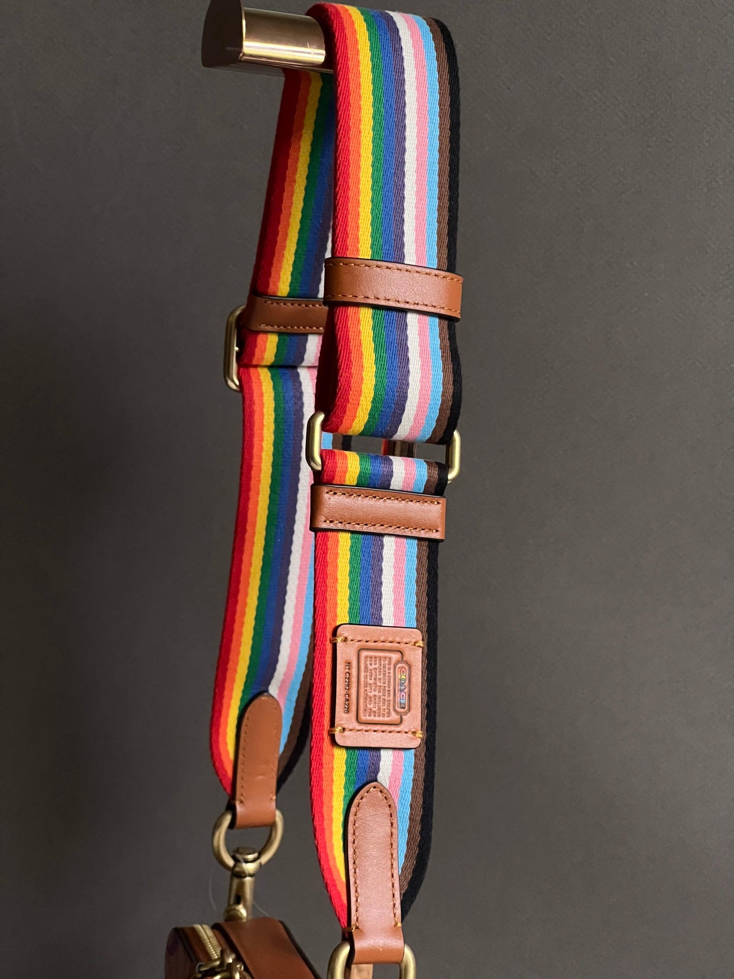 Coach Rainbow Webbing Strap